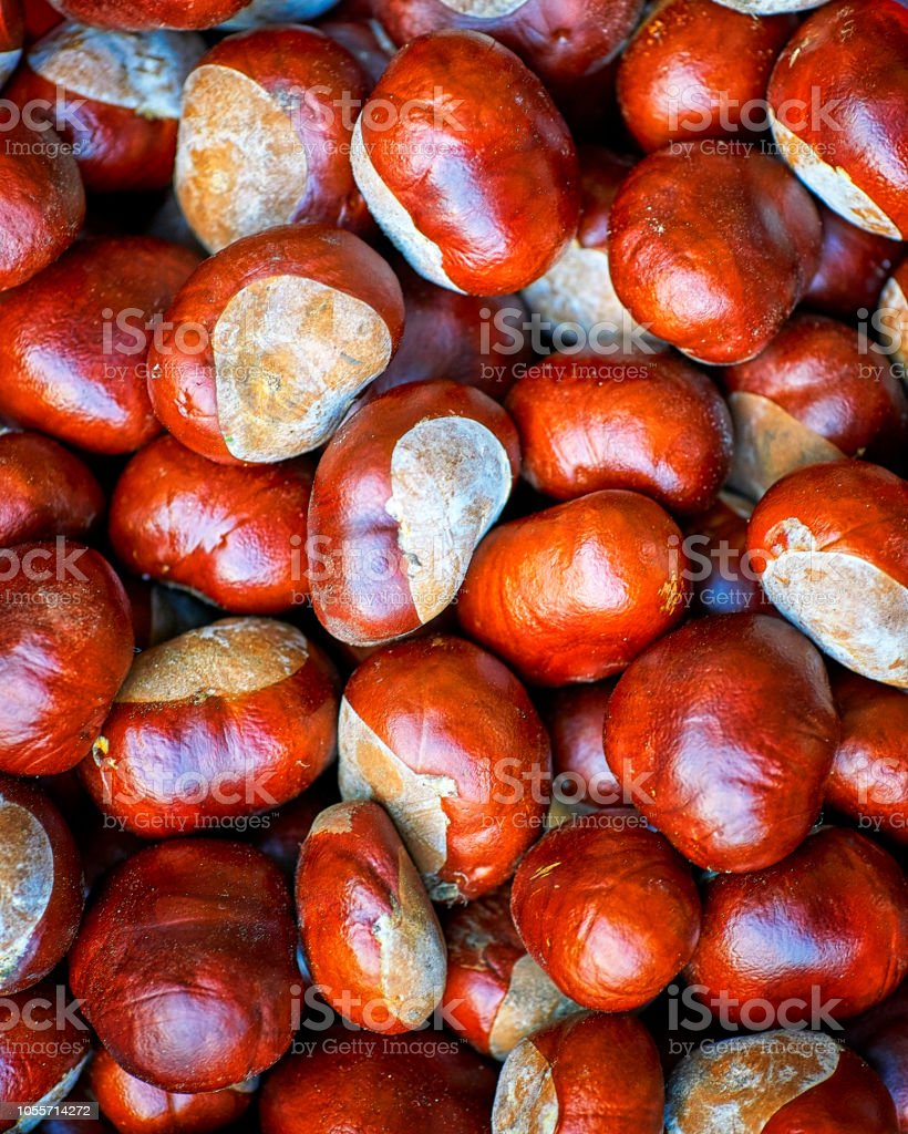 Grunge Autumn Wallpapers - Wallpaper Cave