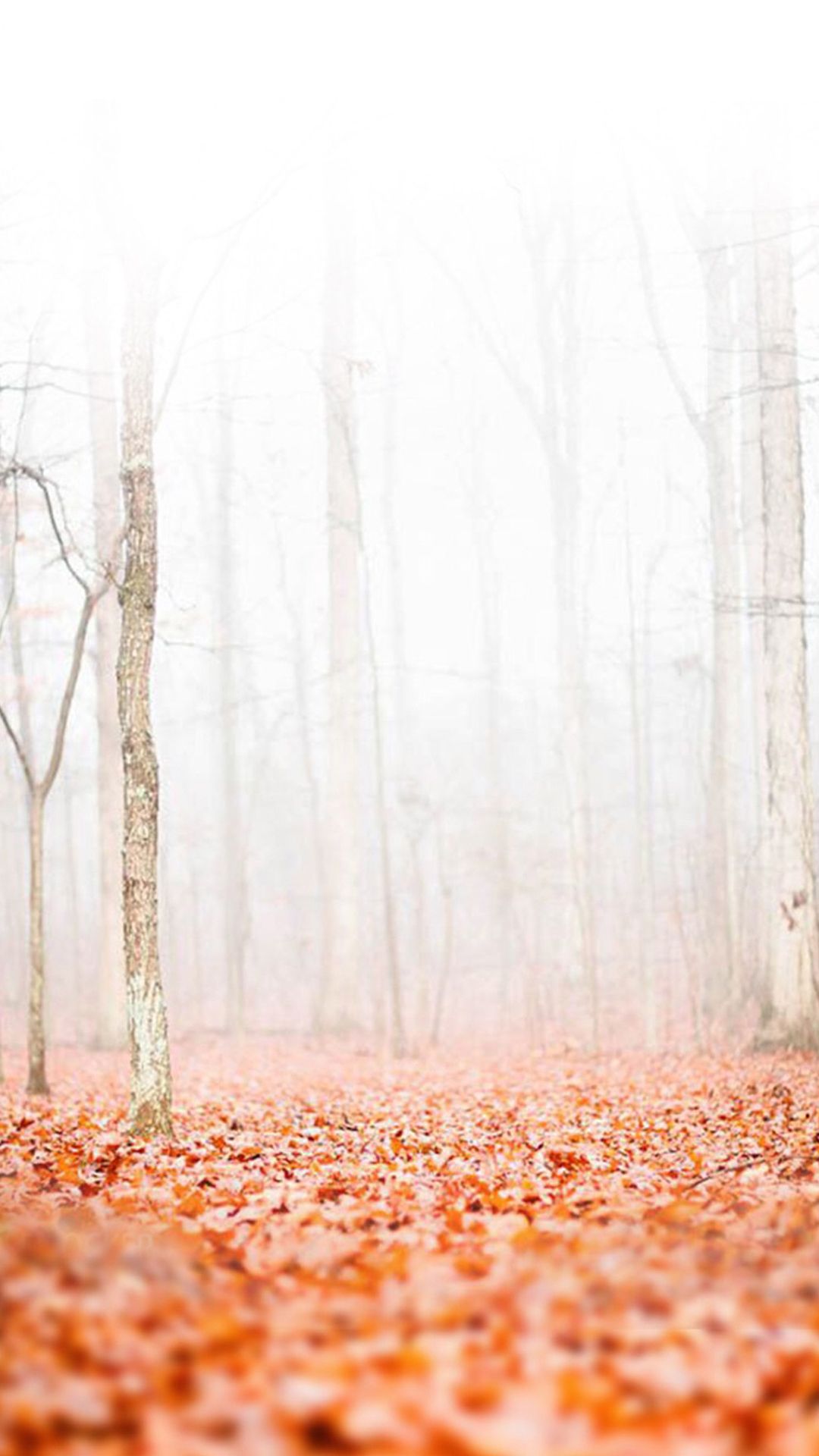 Grunge Autumn Wallpapers - Wallpaper Cave