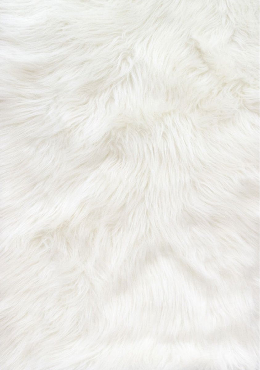White Fur Wallpaper Free White Fur Background