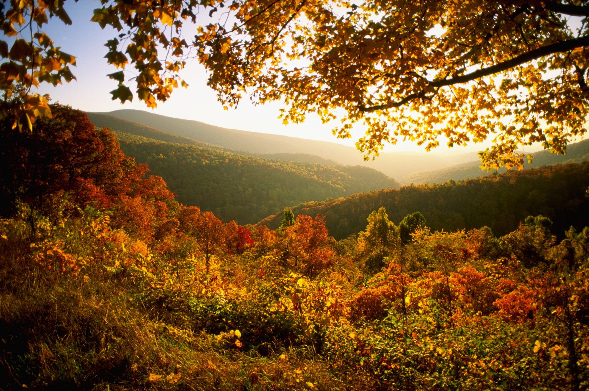 Destinations to See Bright and Brilliant Fall Leaves in the South