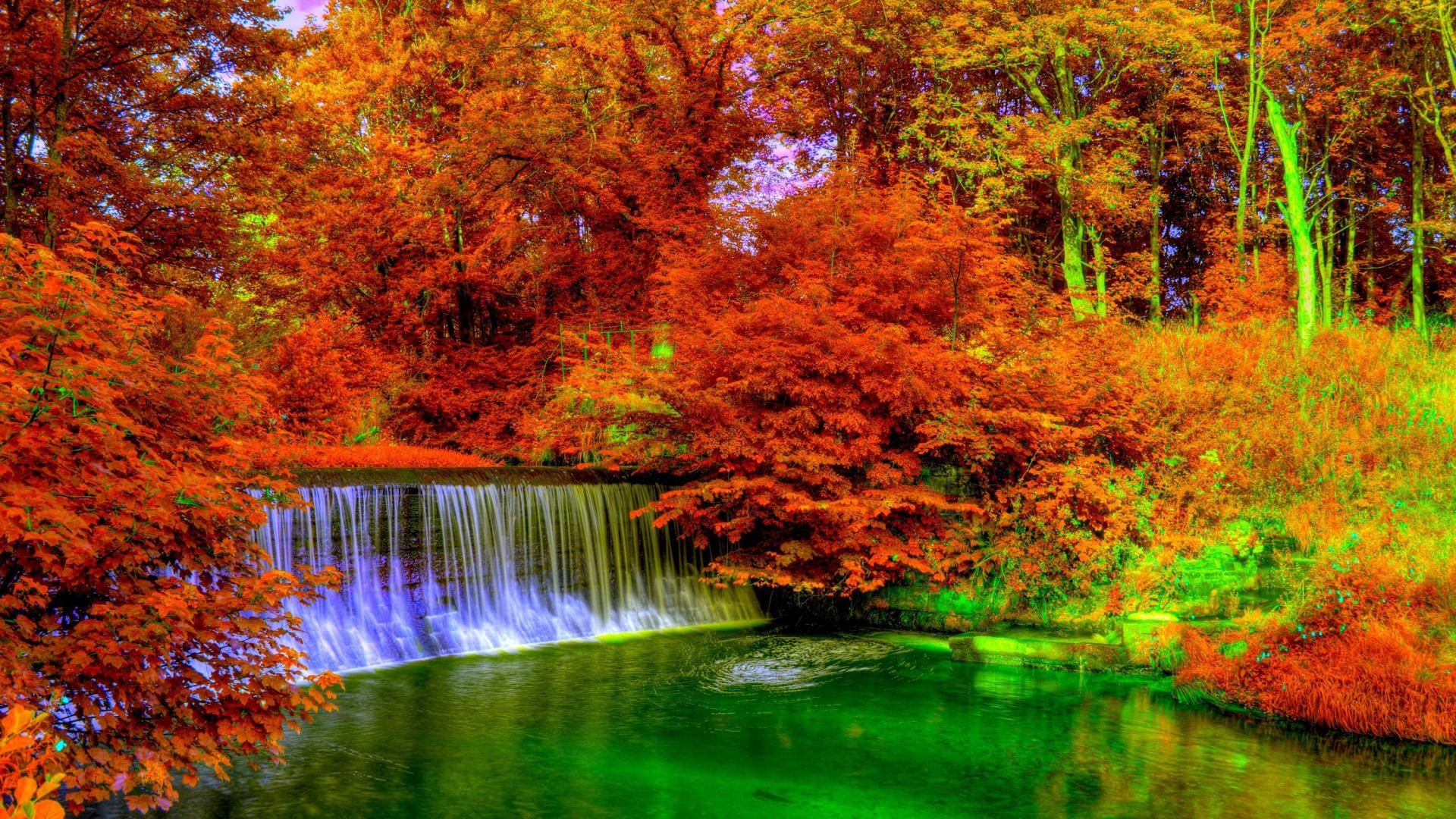 fall colors wallpaper, nature, natural landscape, reflection, body of water, tree