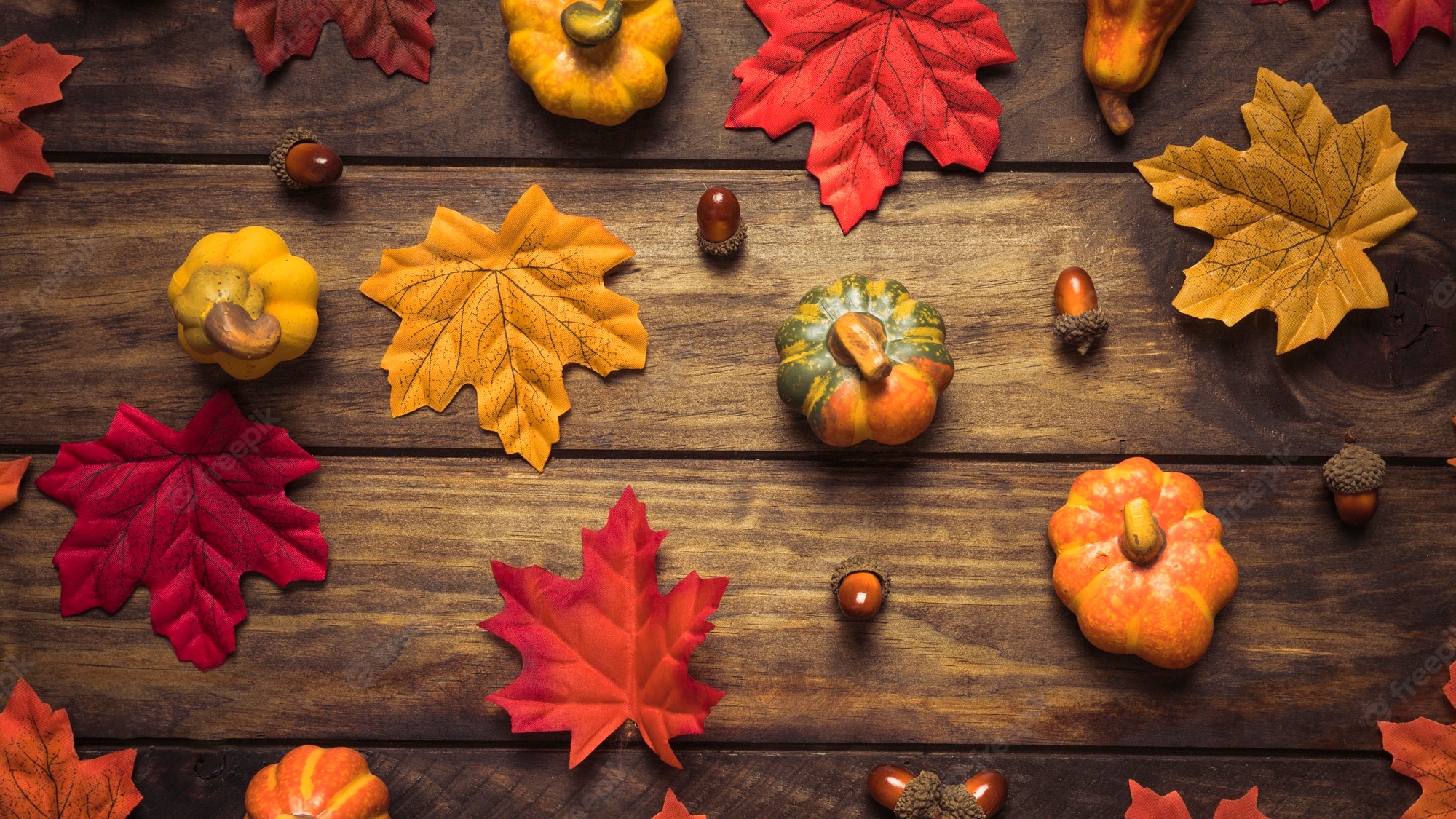 Free Photo. Beautiful autumn leaves, acorns and pumpkins set