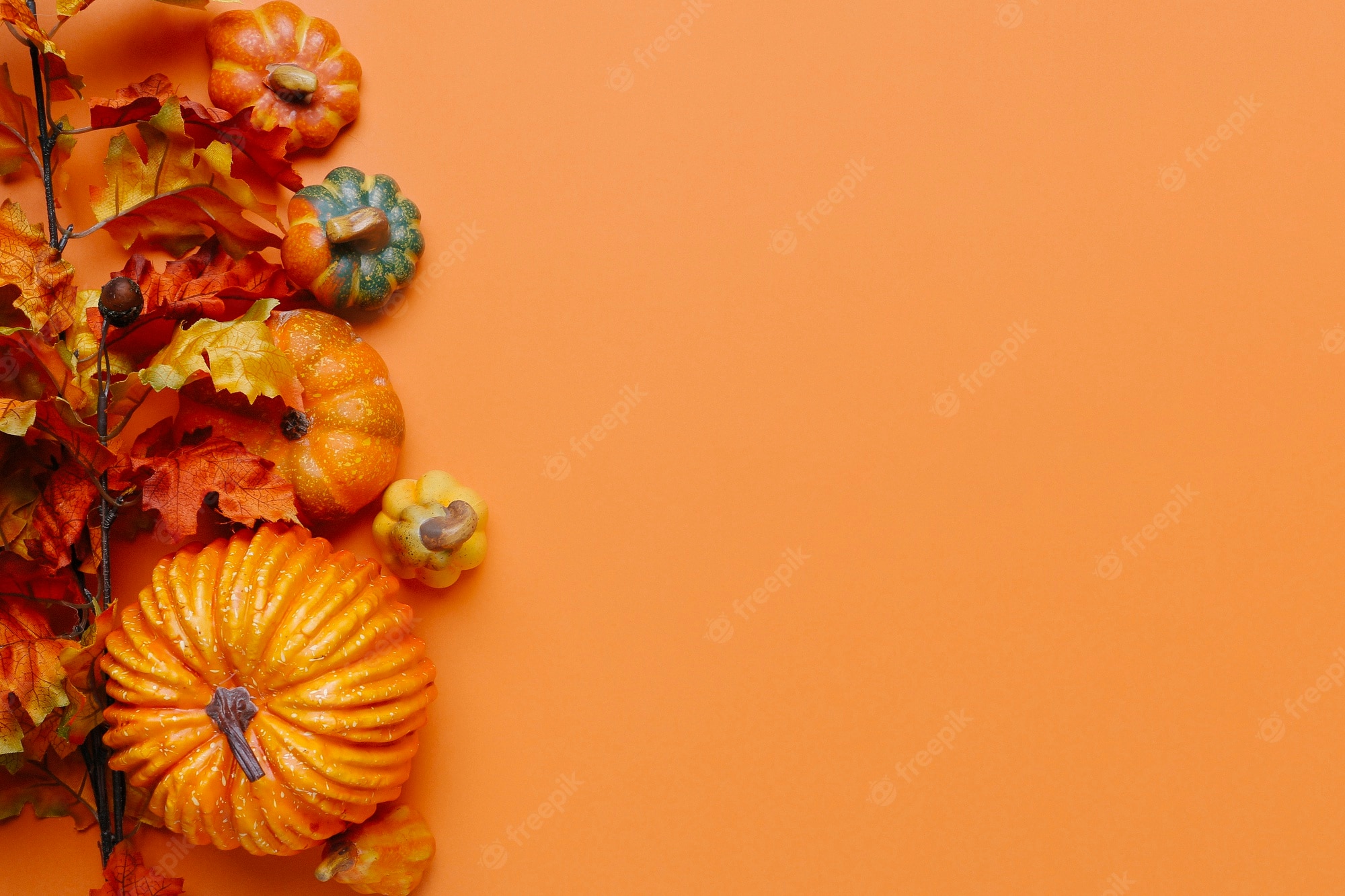 Fall pumpkin Image. Free Vectors, & PSD