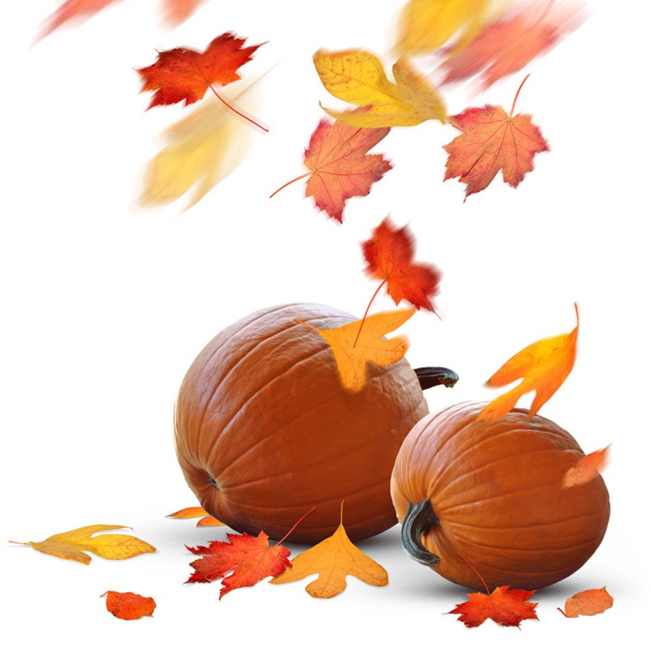 Wallpaper with two pumpkins and autumn leaves free image download