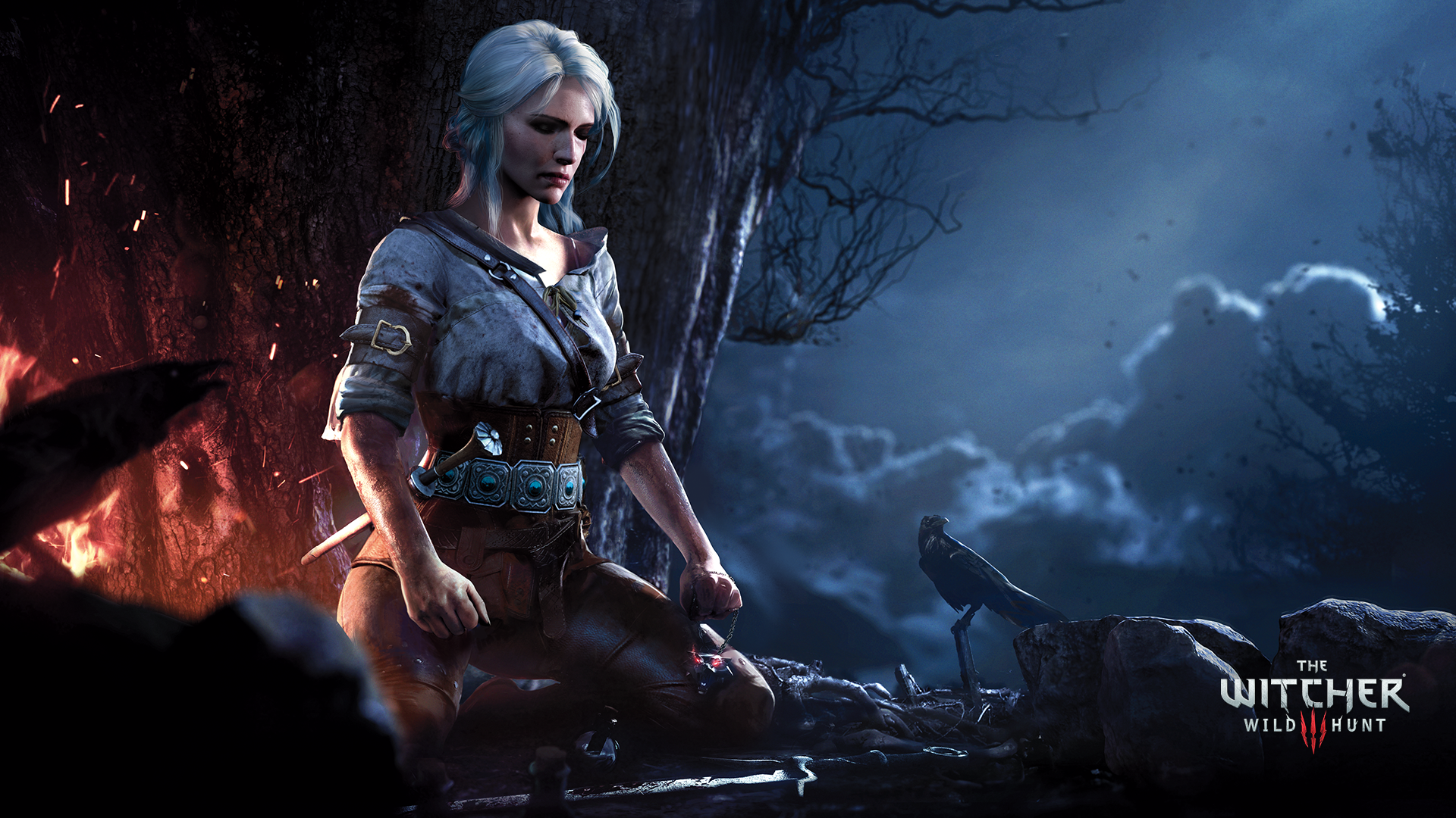 the witcher 3 wild hunt ciri
