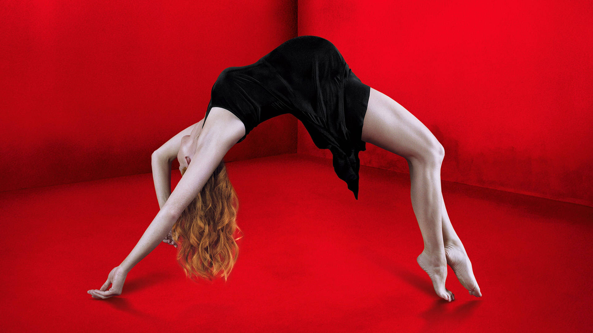 Download American Horror Story Flexible Woman Wallpaper