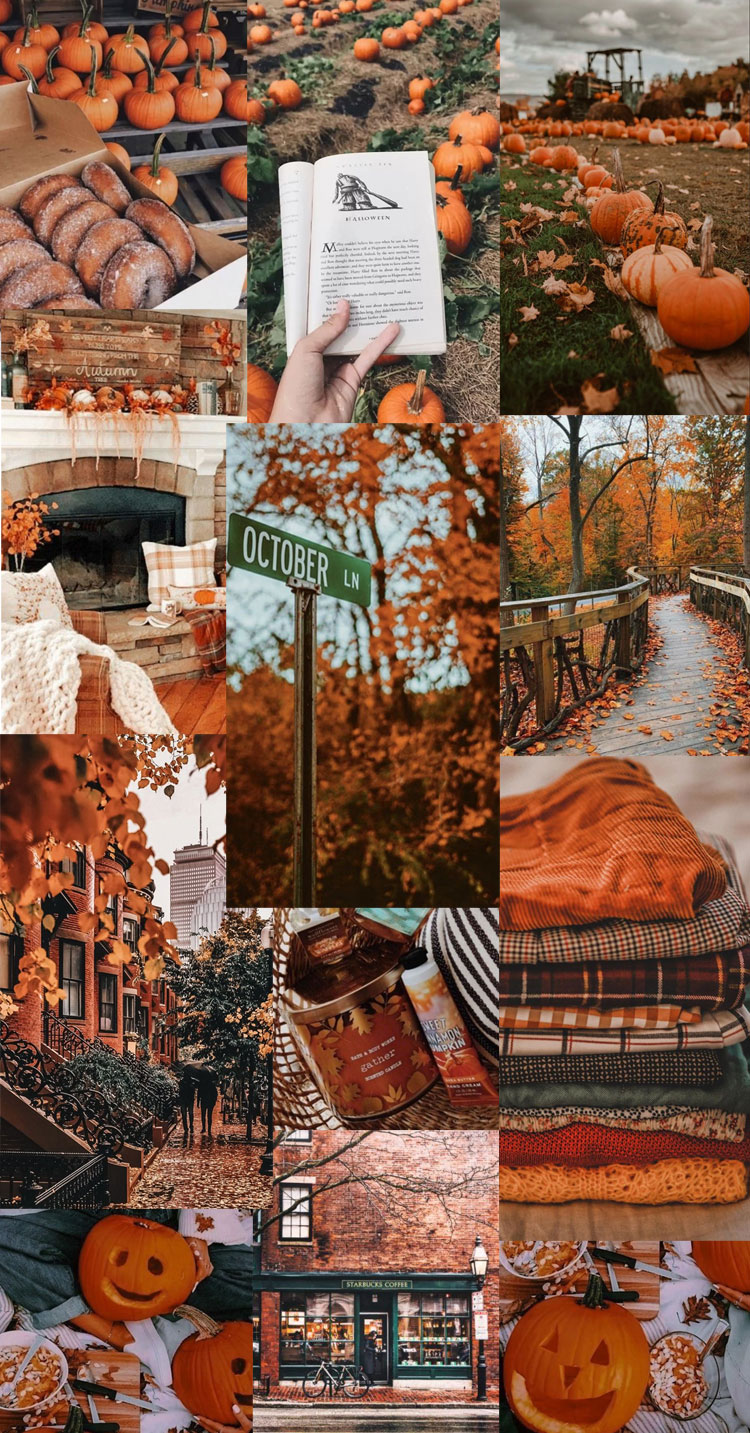 Free download 20 Autumn Collage Wallpaper Autumn in the city 1 Fab Mood [750x1433] for your Desktop, Mobile & Tablet. Explore Autumn 2022 Wallpaper. Autumn Background, Autumn Wallpaper, Autumn Wallpaper