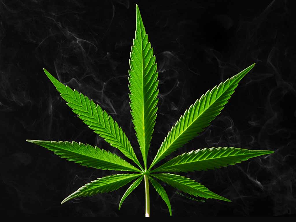 Desktop Wallpaper Marijuana