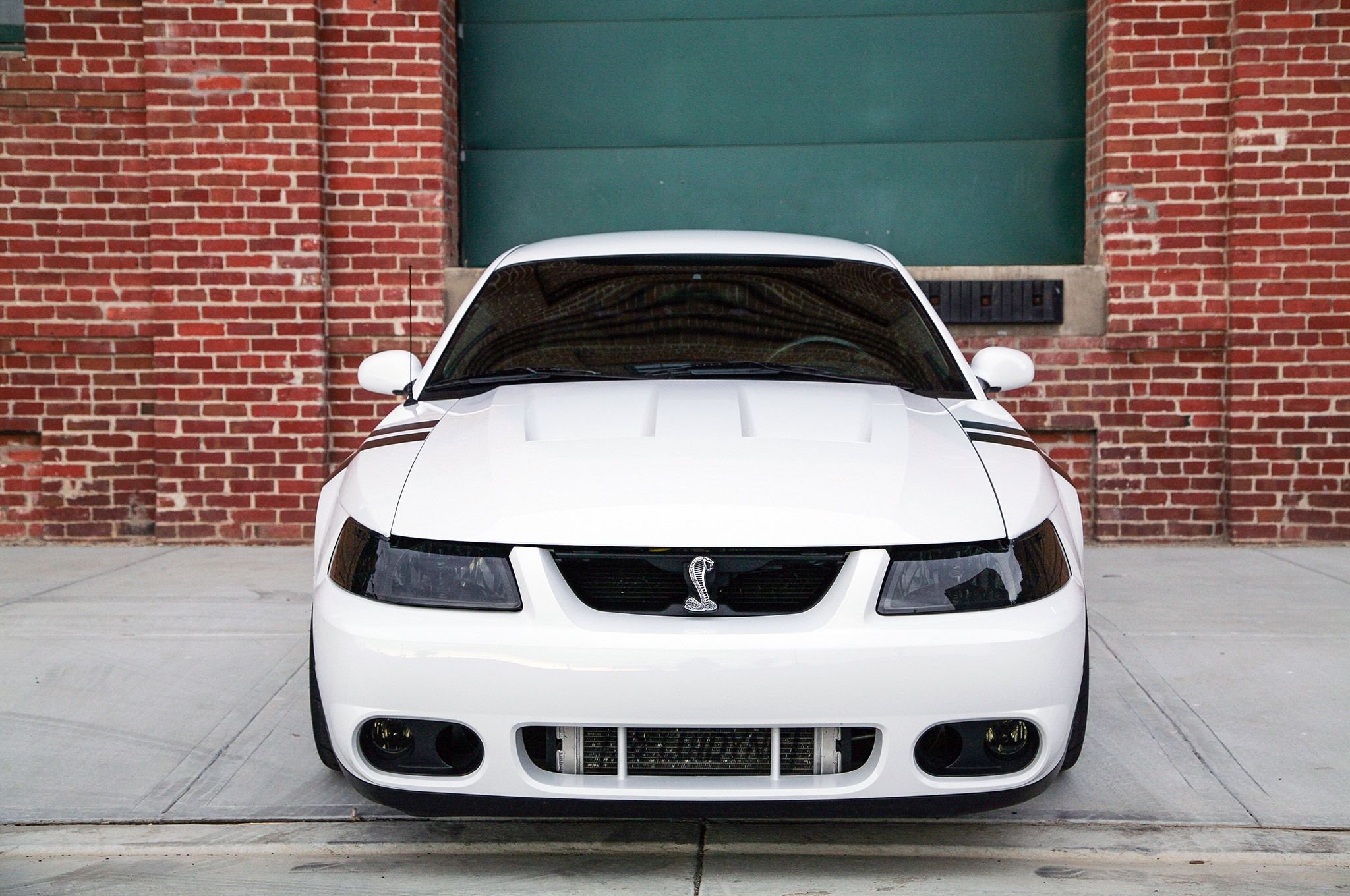 white, 2004, Terminator, Mustang, Cobra, Cars Wallpaper HD / Desktop and Mobile Background