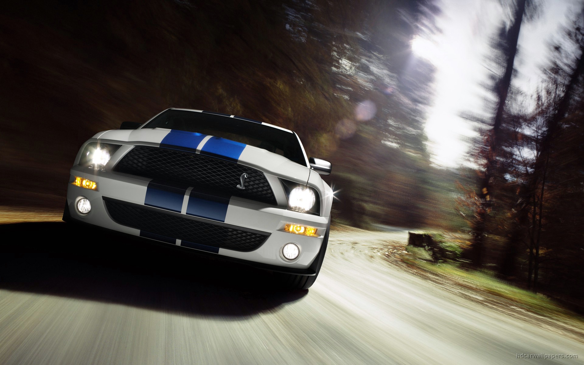 Shelby Cobra GT500 Mustang 9 Wallpaper
