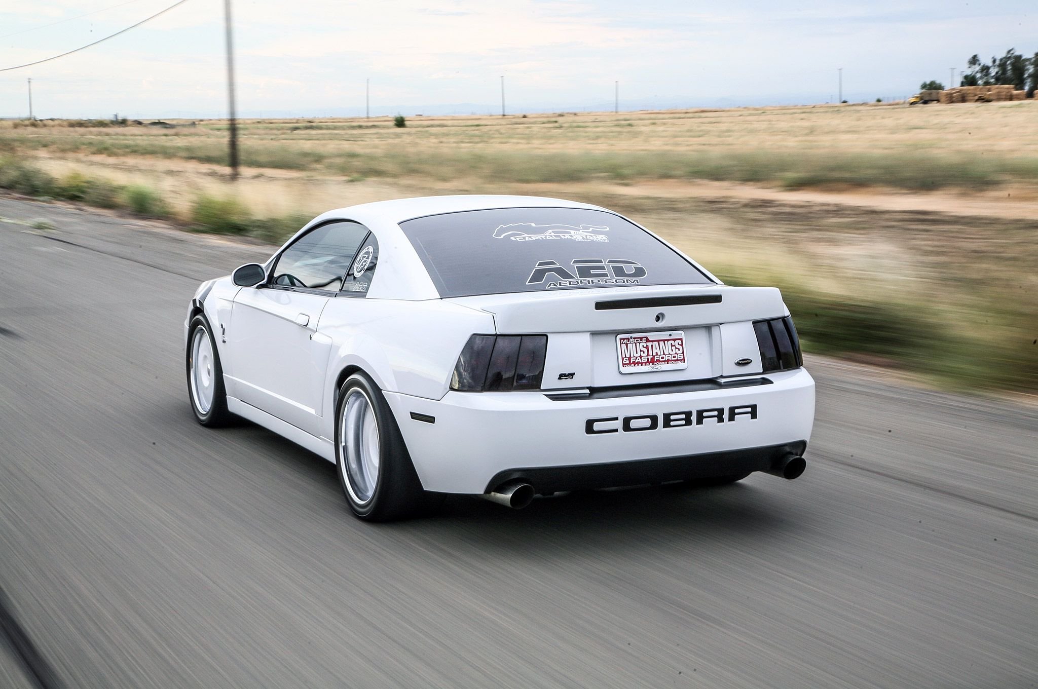 white, Terminator, Mustang, Cobra, Cars Wallpaper HD / Desktop and Mobile Background
