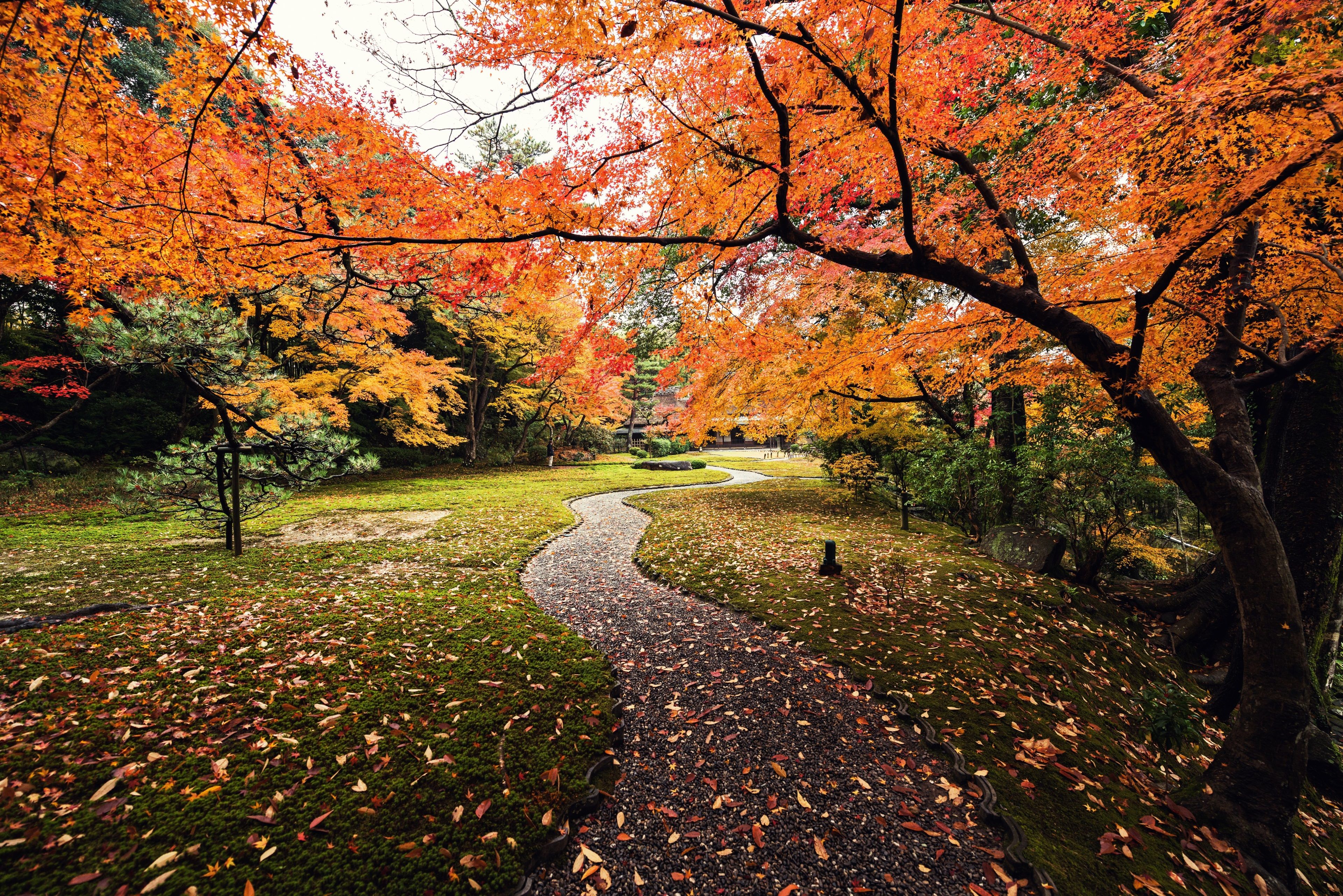 autumn 4k amazing wallpaper. Japan landscape, Landscape, Autumn landscape