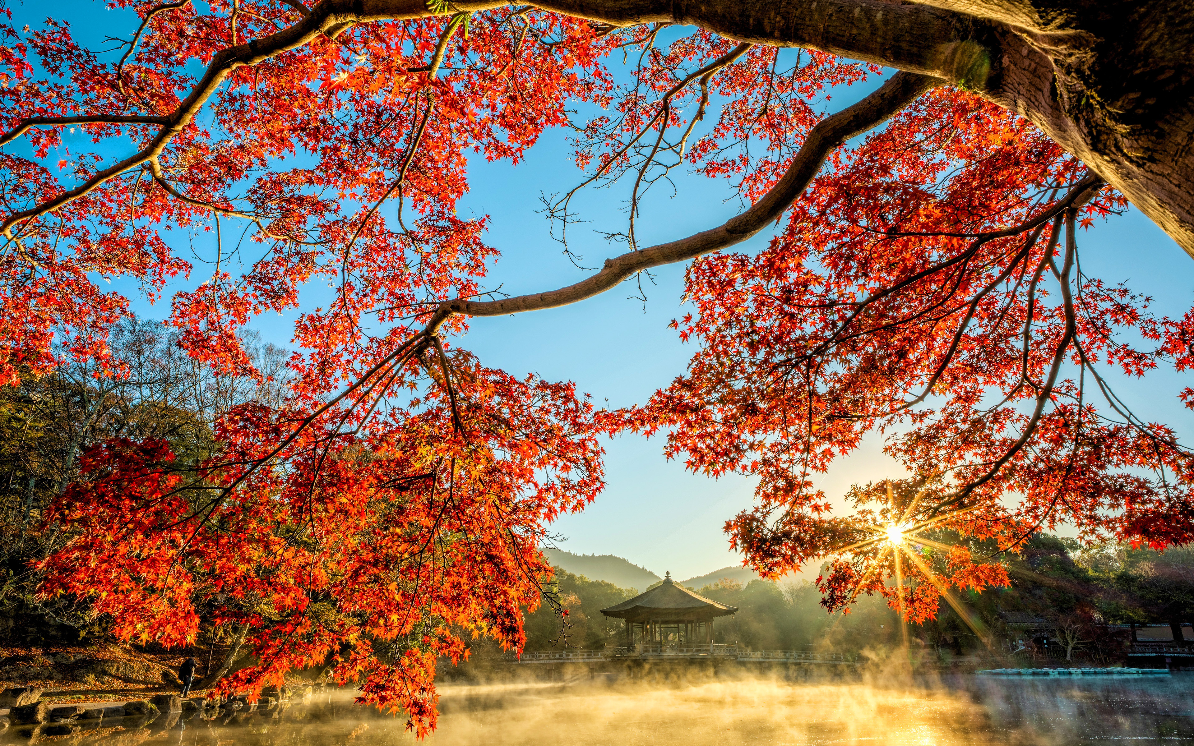 Download wallpaper Japan, 4k, pond, autumn, bright sun rays, sunset, beautiful nature, Asia for desktop with resolution 3840x2400. High Quality HD picture wallpaper