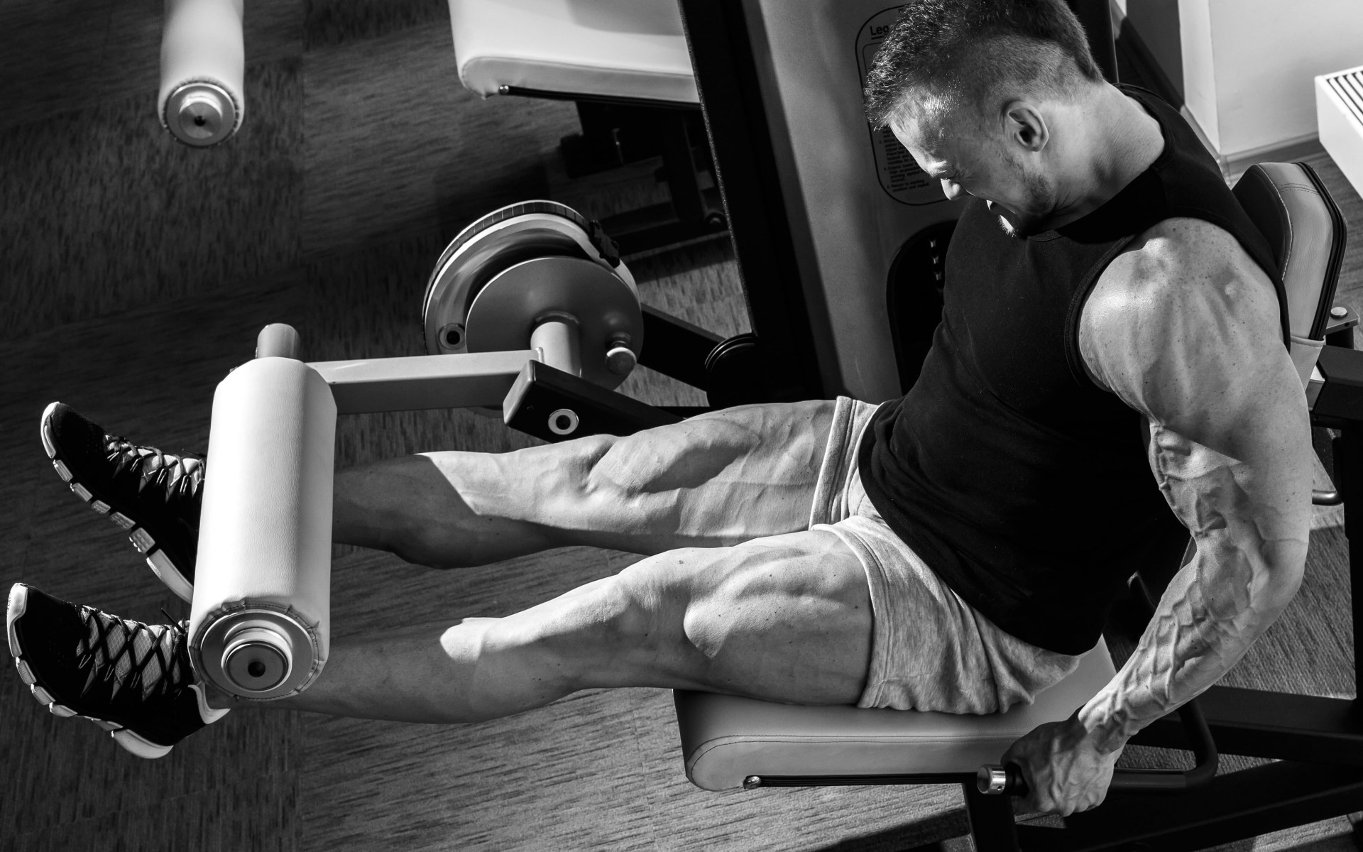 Wallpaper Leg Curler Bench Exerciser, Muscles, Workout, Gym • Wallpaper For You
