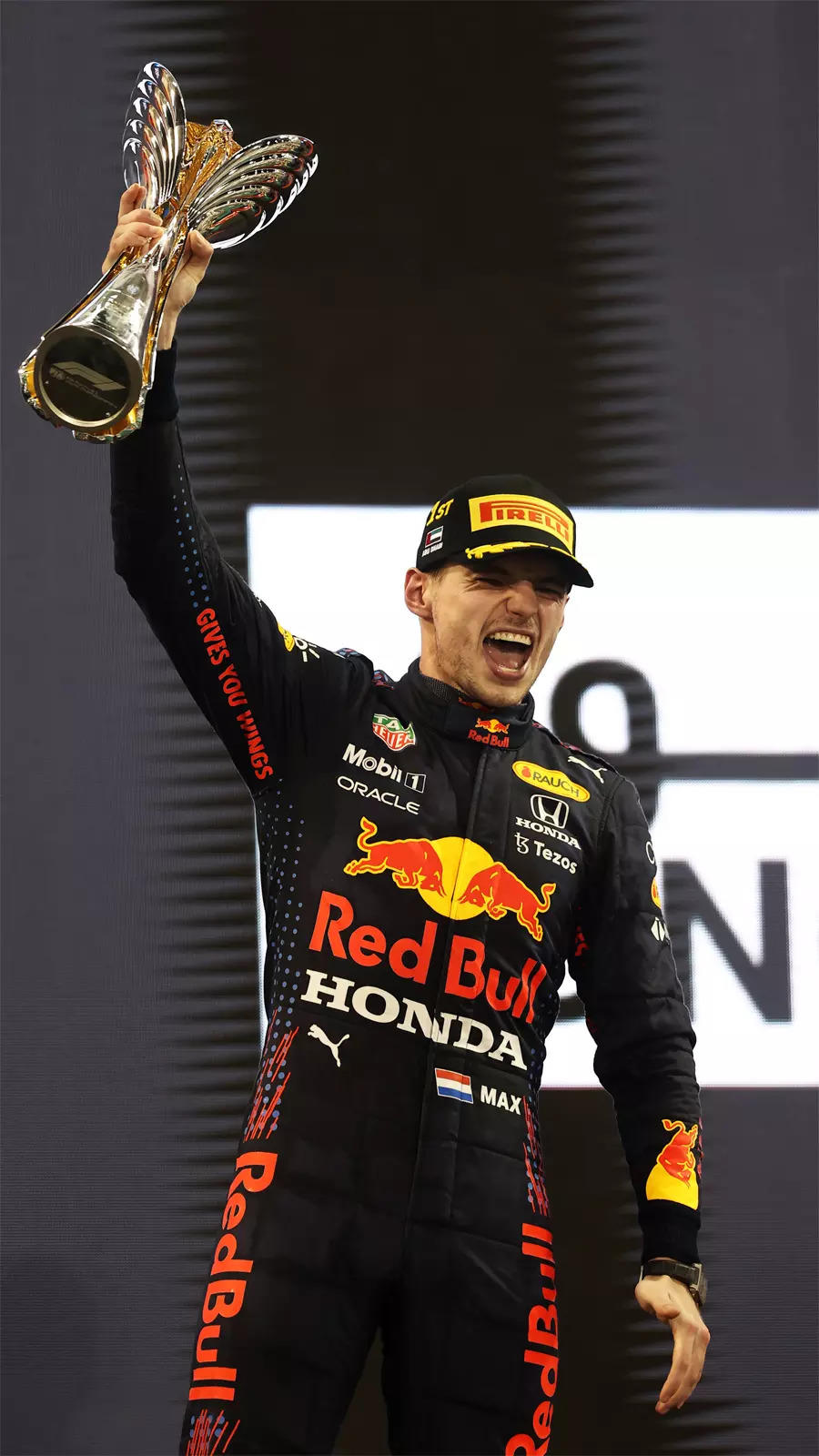 Max Verstappen: New F1 world champion