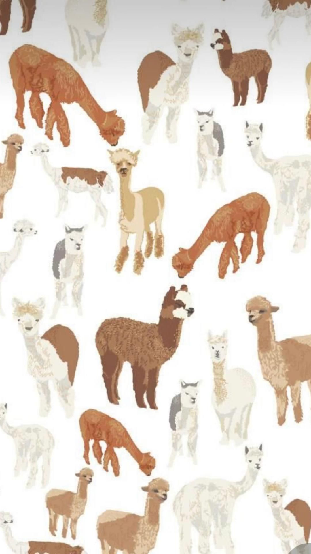 23,311 Alpacas Cartoon Images, Stock Photos, 3D objects, & Vectors |  Shutterstock