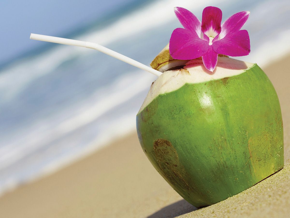 Coconut Drink Wallpaper