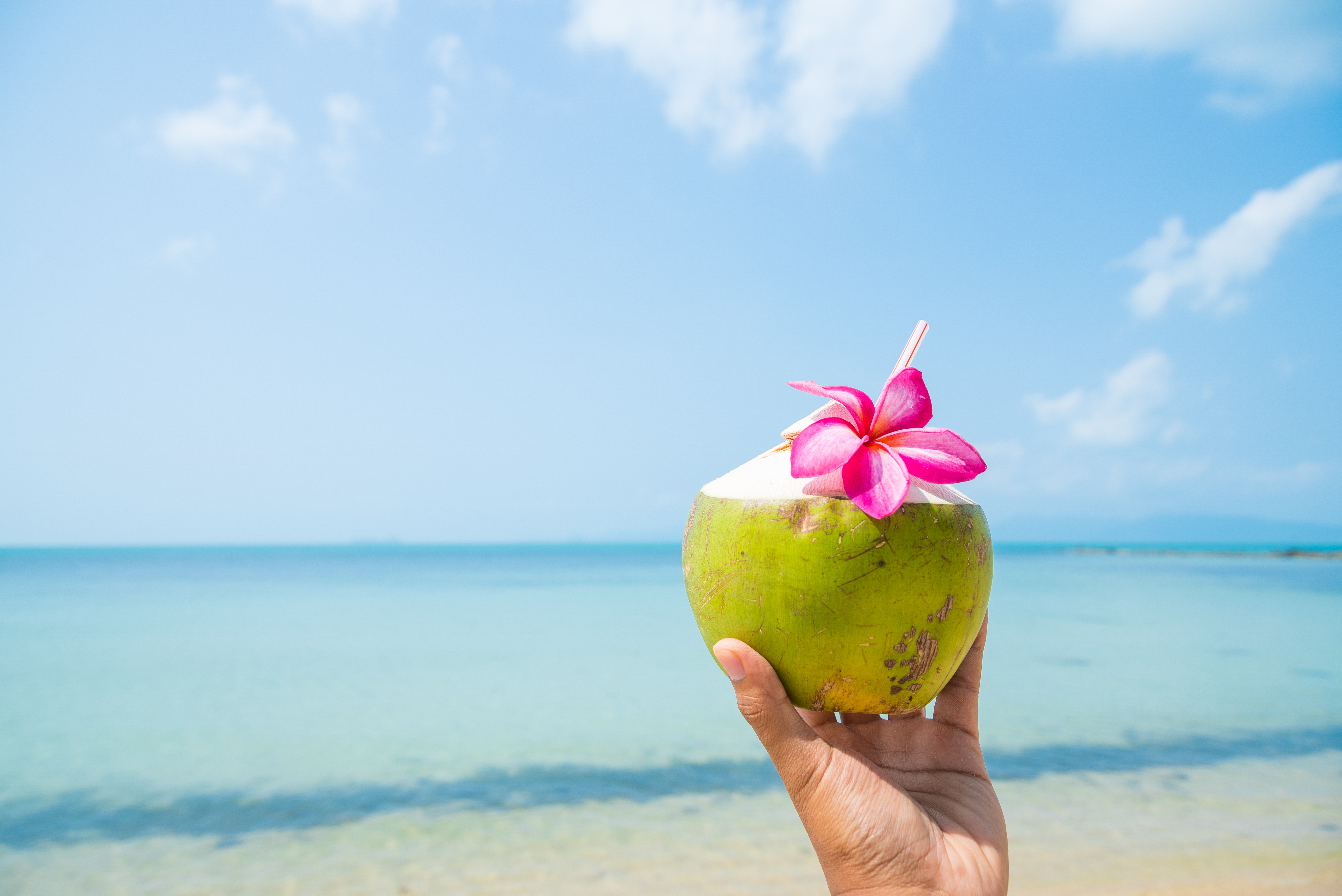 Coconut Drink Image and Background for Free Download