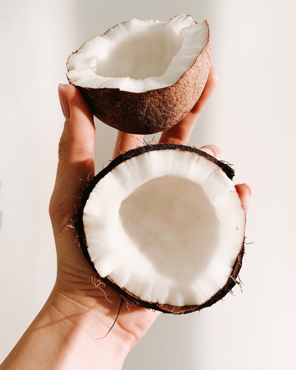 Coconut Picture. Download Free Image