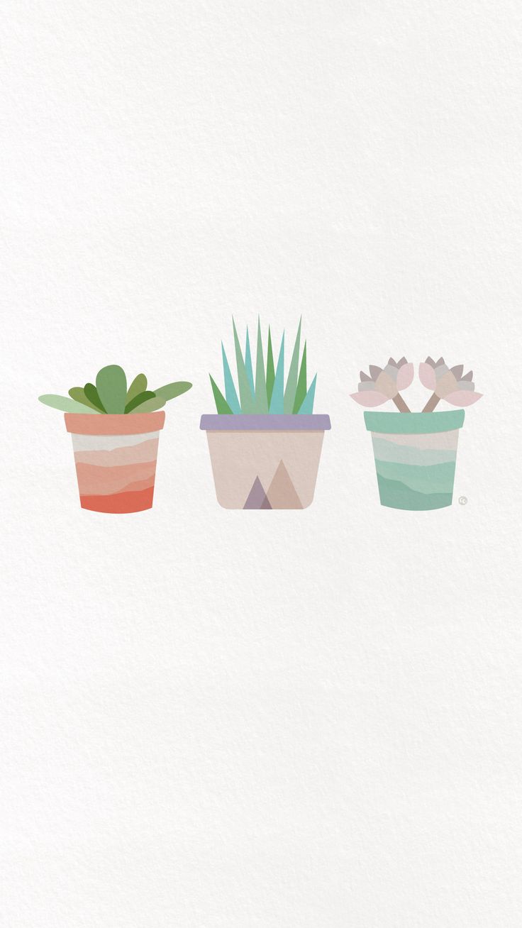 Succulents wallpaper, iPhone minimalist wallpaper, Minimalist iphone
