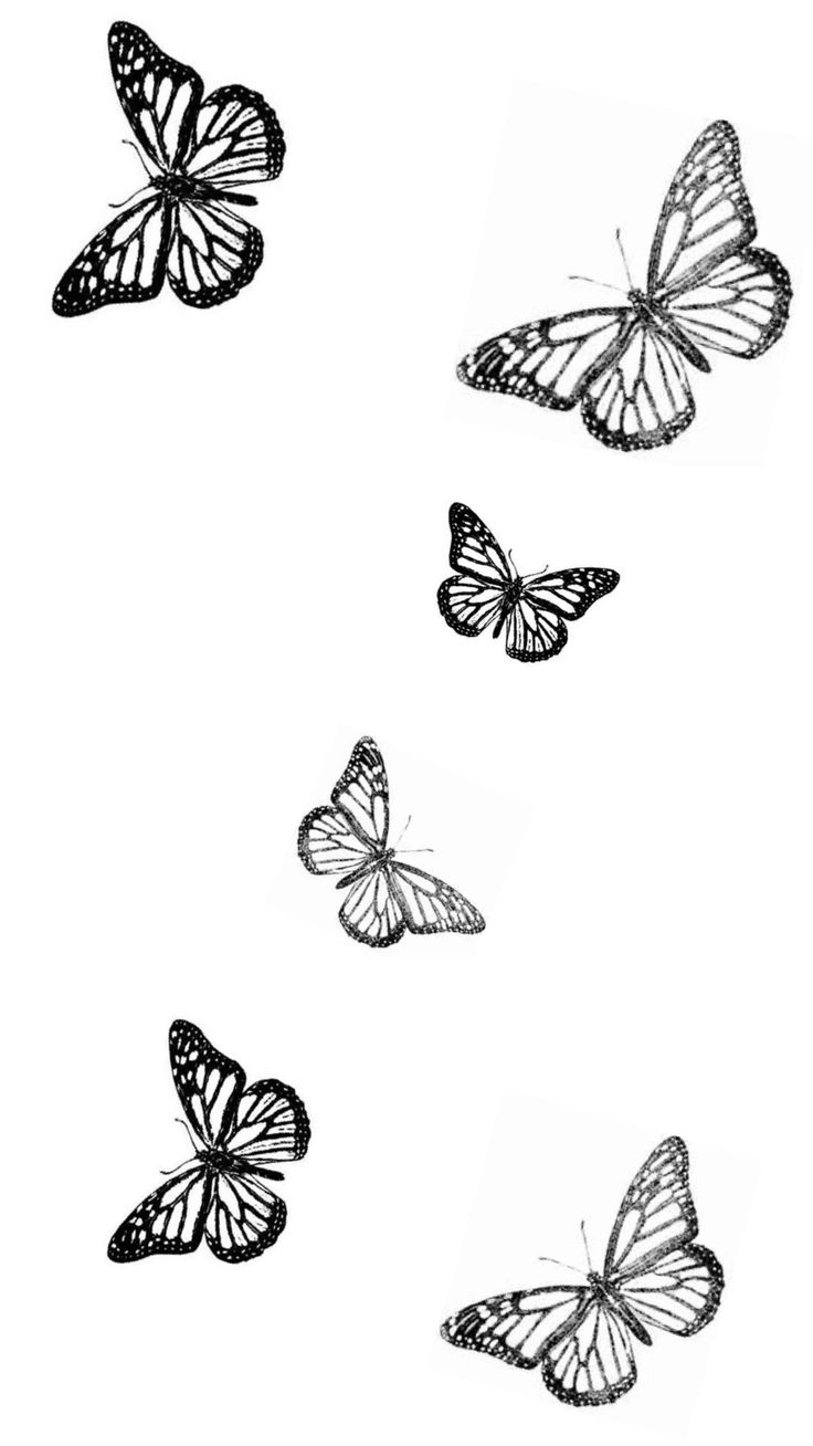 Butterfly Tattoo Wallpapers - Wallpaper Cave