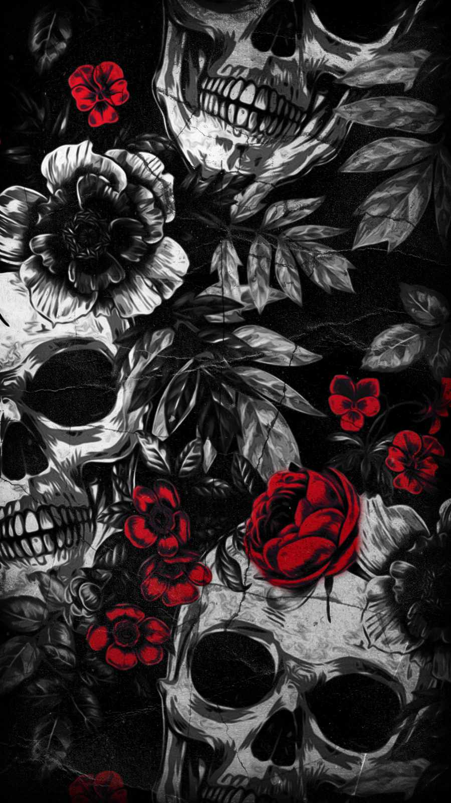 Skull Roses IPhone Wallpaper Wallpaper, iPhone Wallpaper. Wallpaper iphone roses, Graffiti wallpaper iphone, Skull wallpaper iphone