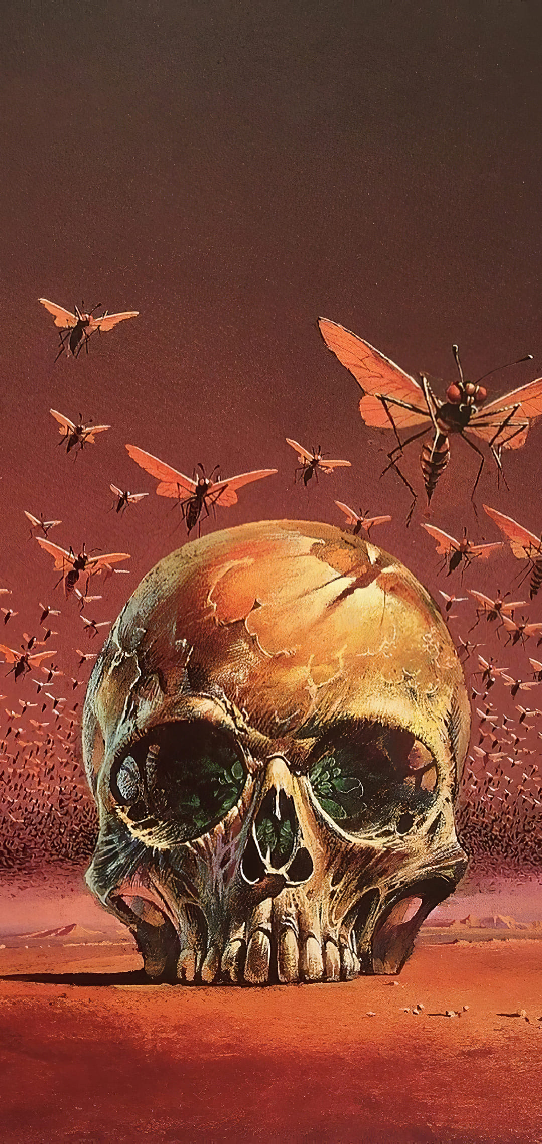 Skull iPhone Wallpaper { 4k & HD }