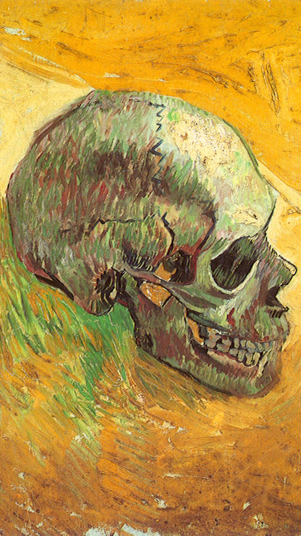 Van Gogh skull Wallpaper for iPhone 11, Pro Max, X, 8, 7, 6