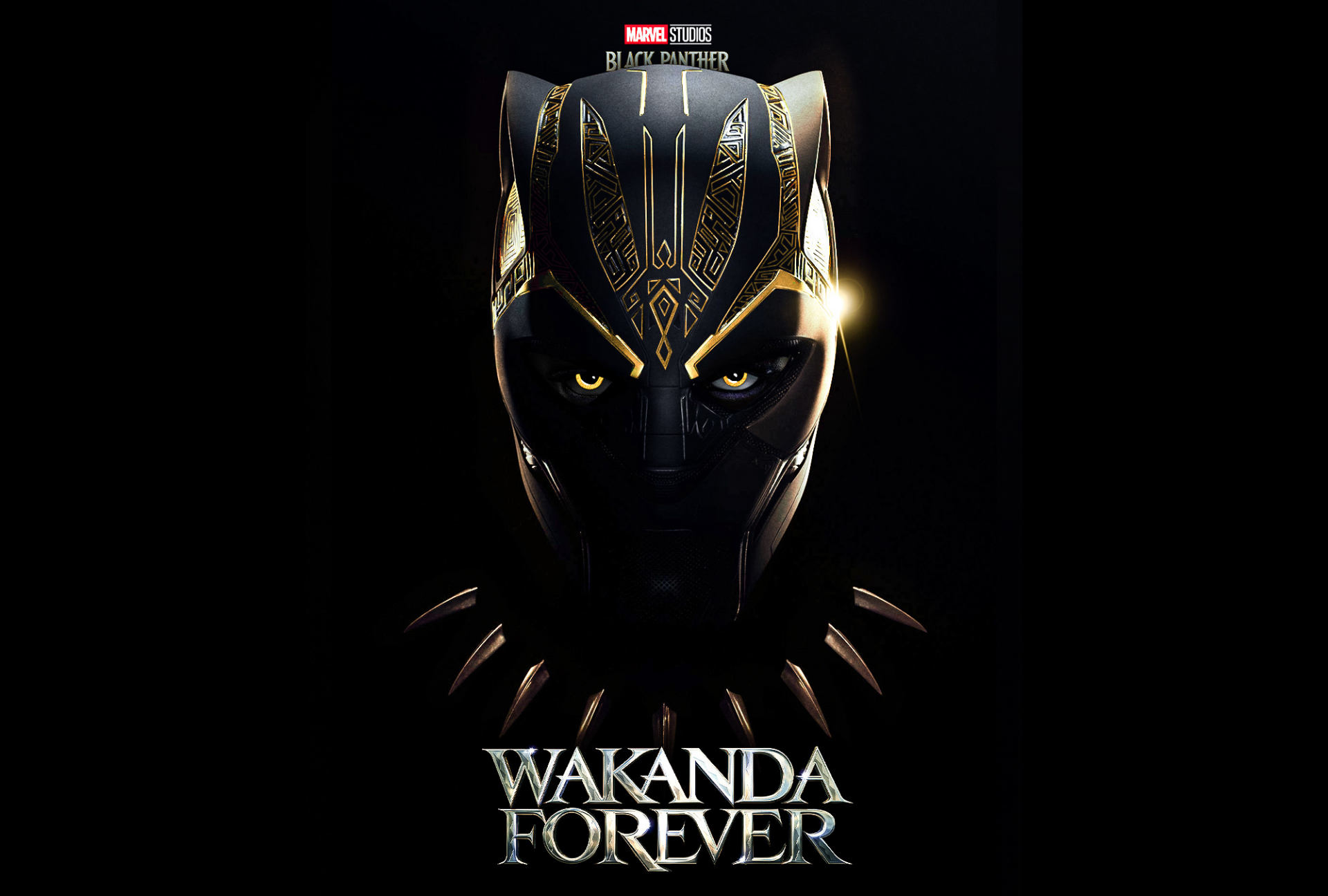 Black Panther Wakanda Forever Wallpaper