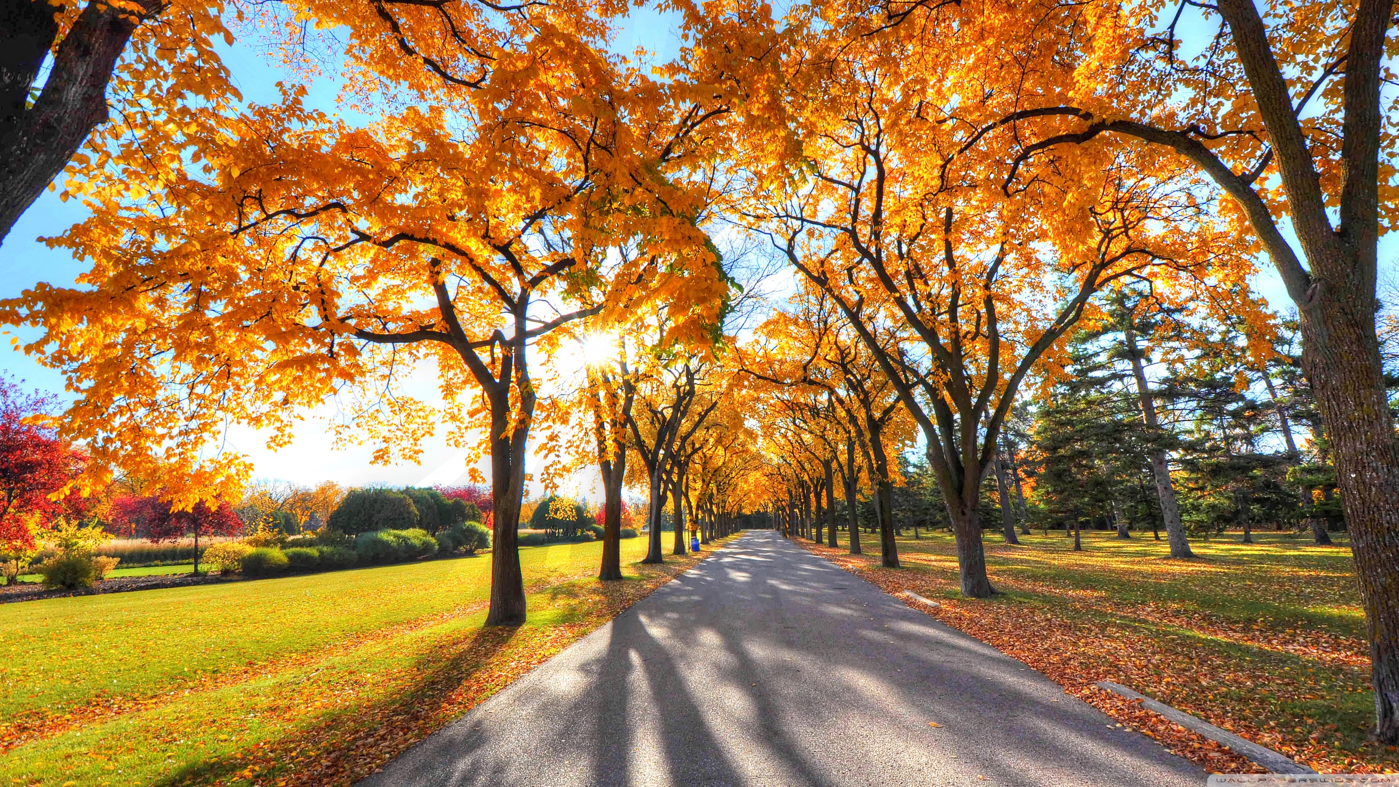 Park Landscape, Autumn Ultra HD Desktop Background Wallpaper for: Multi Display, Dual Monitor, Tablet