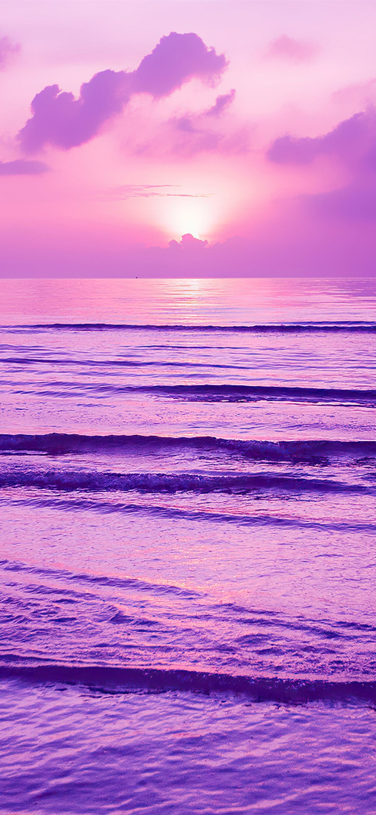 purple sunset 4k iPhone Wallpaper Free Download