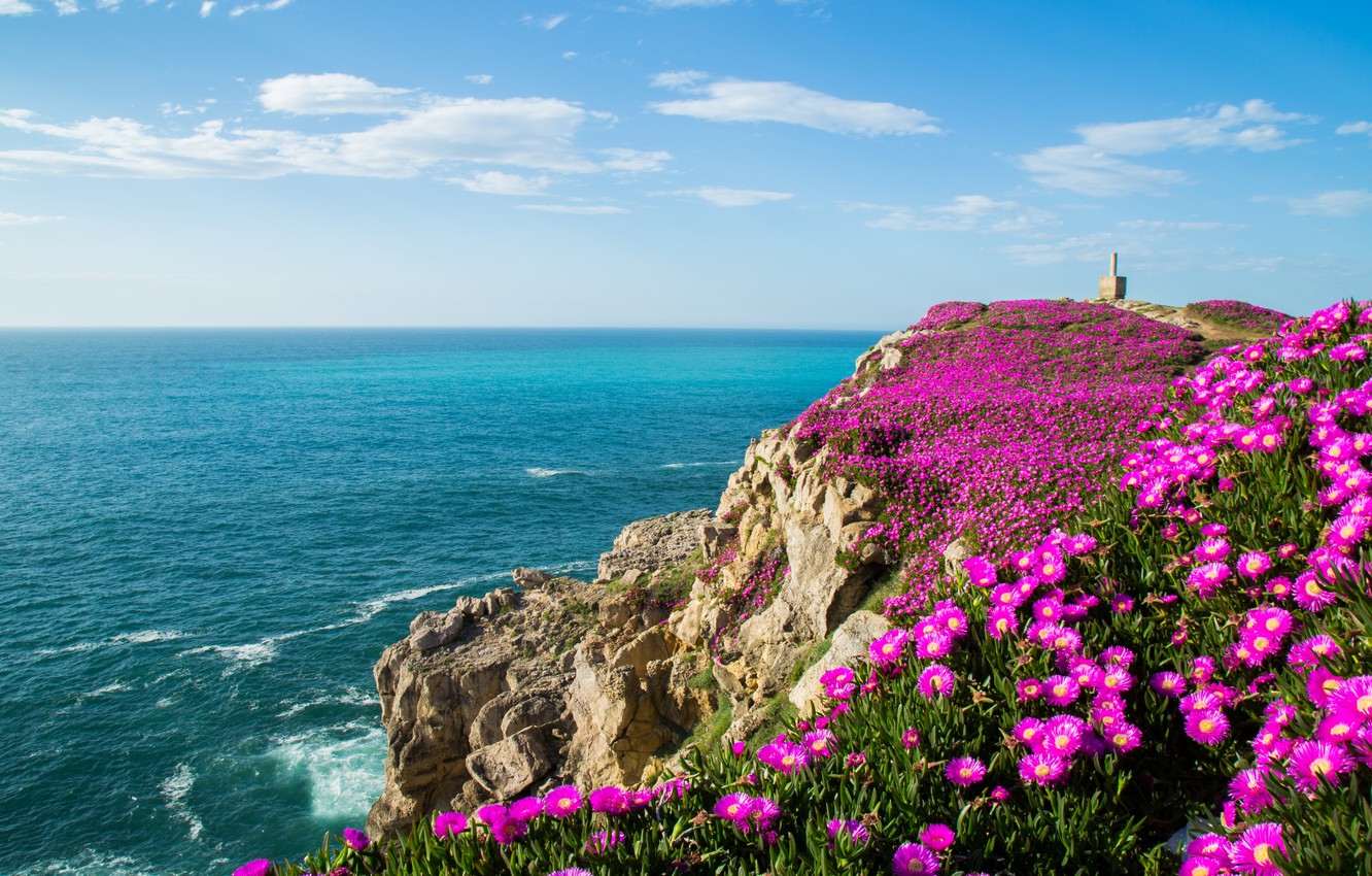 Wallpaper flowers, the ocean, rocks, coast, Bay, Spain, Spain, The Bay of Biscay, Cantabria, Cantabria, Bay of Biscay, Suances, Suances image for desktop, section пейзажи