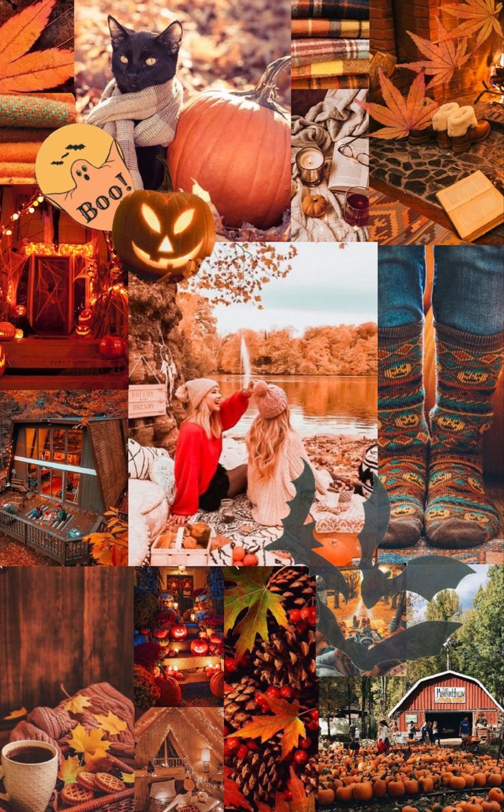 Cozy autumn wallpaper. Orange wallpaper, Wallpaper, Autumn cozy