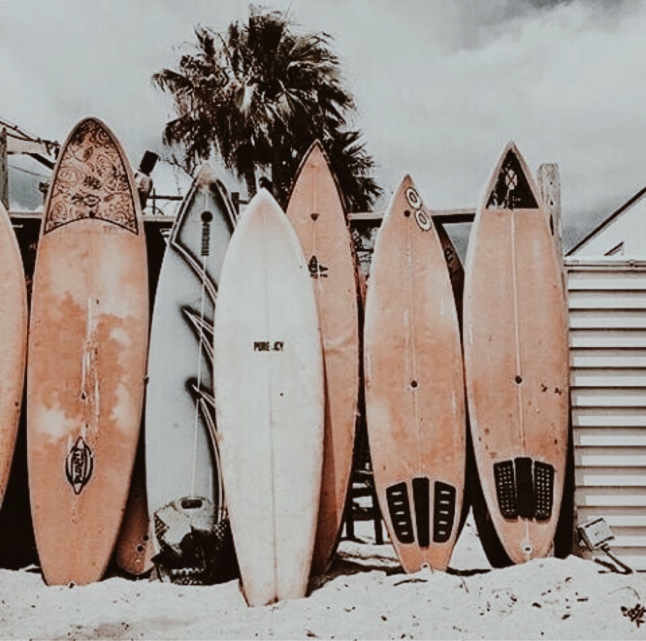 image about Surfboards trending