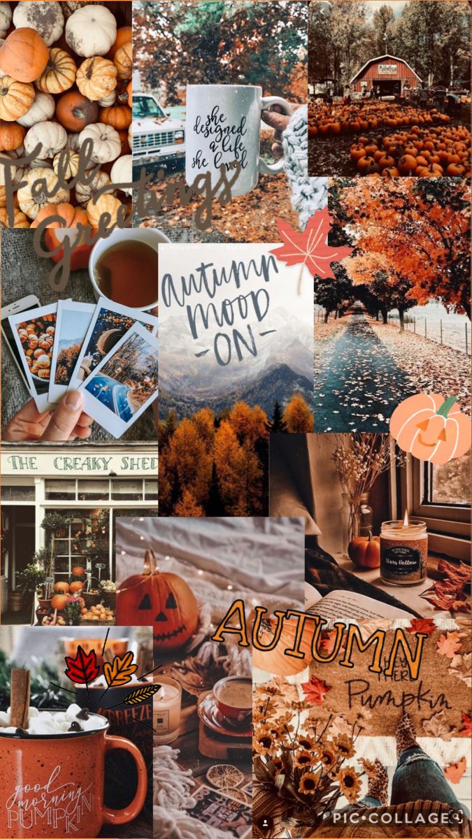 Autumn. Cute fall wallpaper, Fall wallpaper, iPhone wallpaper fall