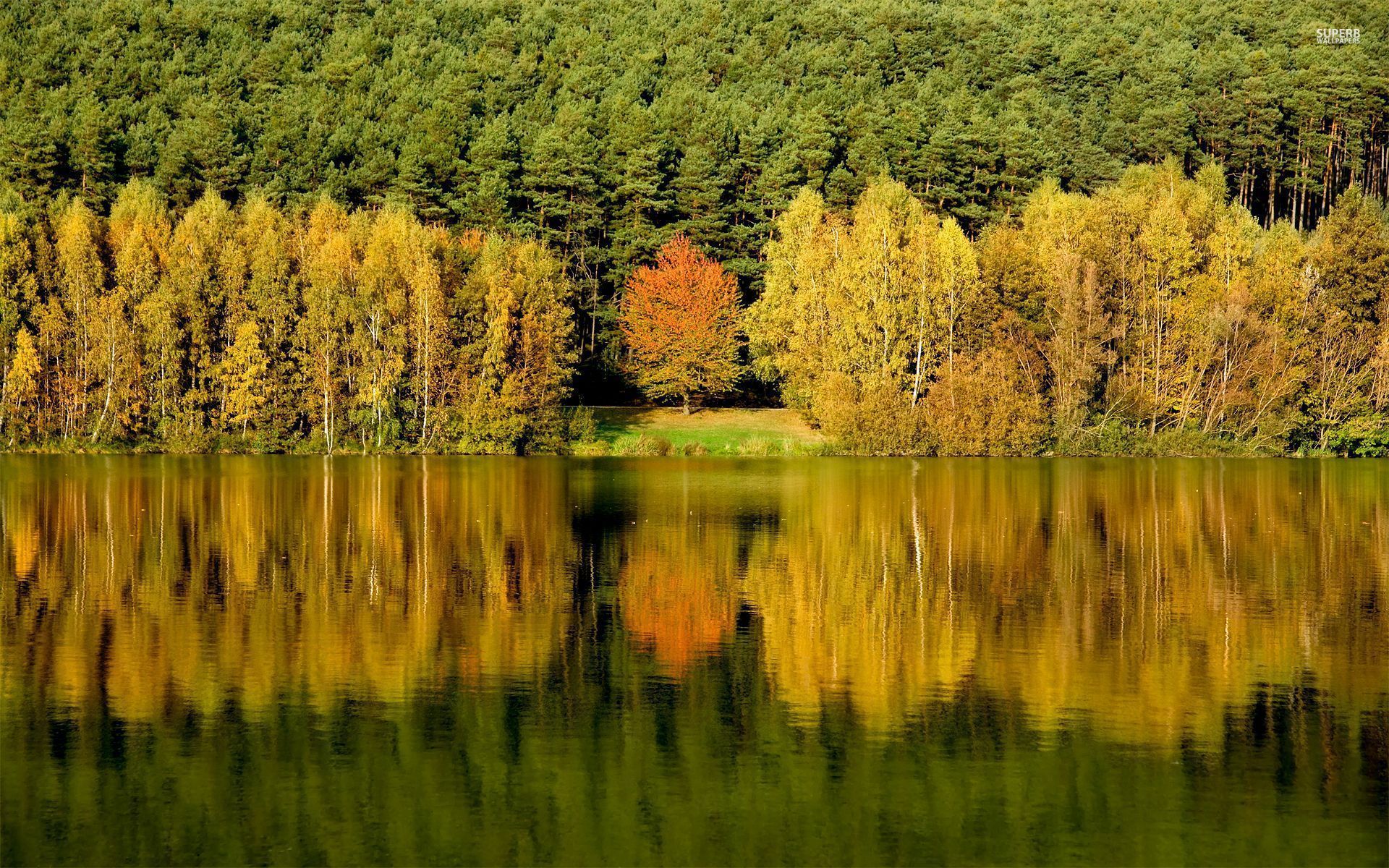 Autumn Forest Lake Reflection wallpaper. Autumn Forest Lake Reflection