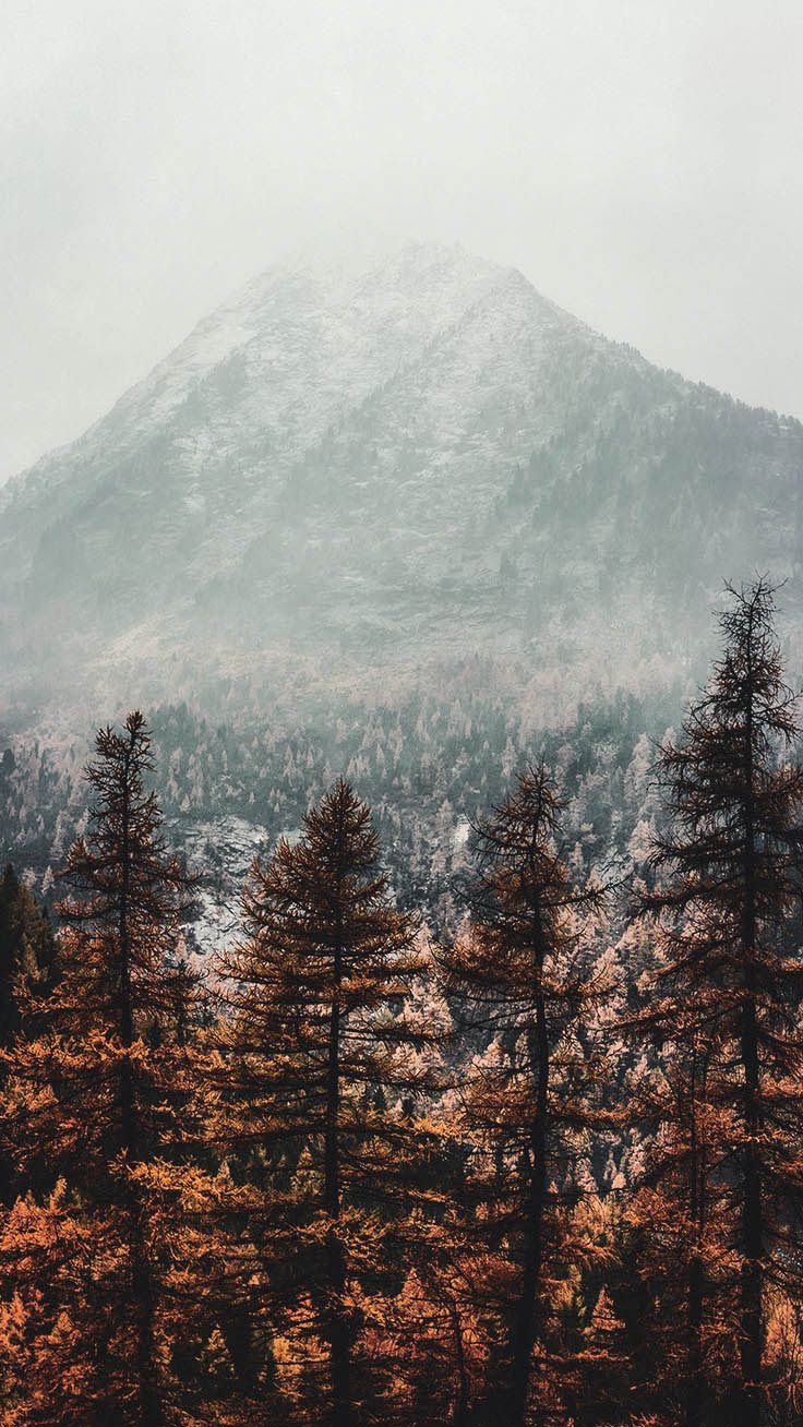 Free Autumn iPhone Wallpaper Collection Download it