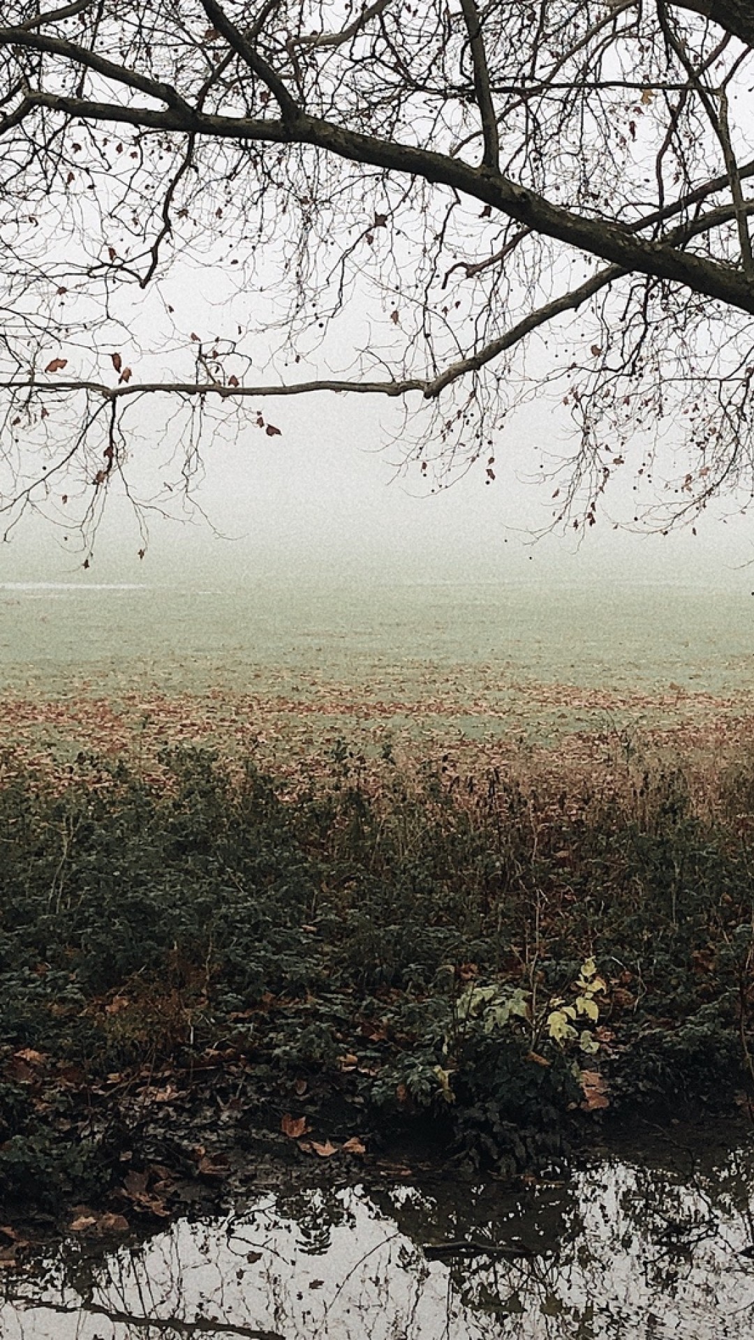 Melancholic autumn mood HD Wallpaper iPhone 6 / 6S Plus