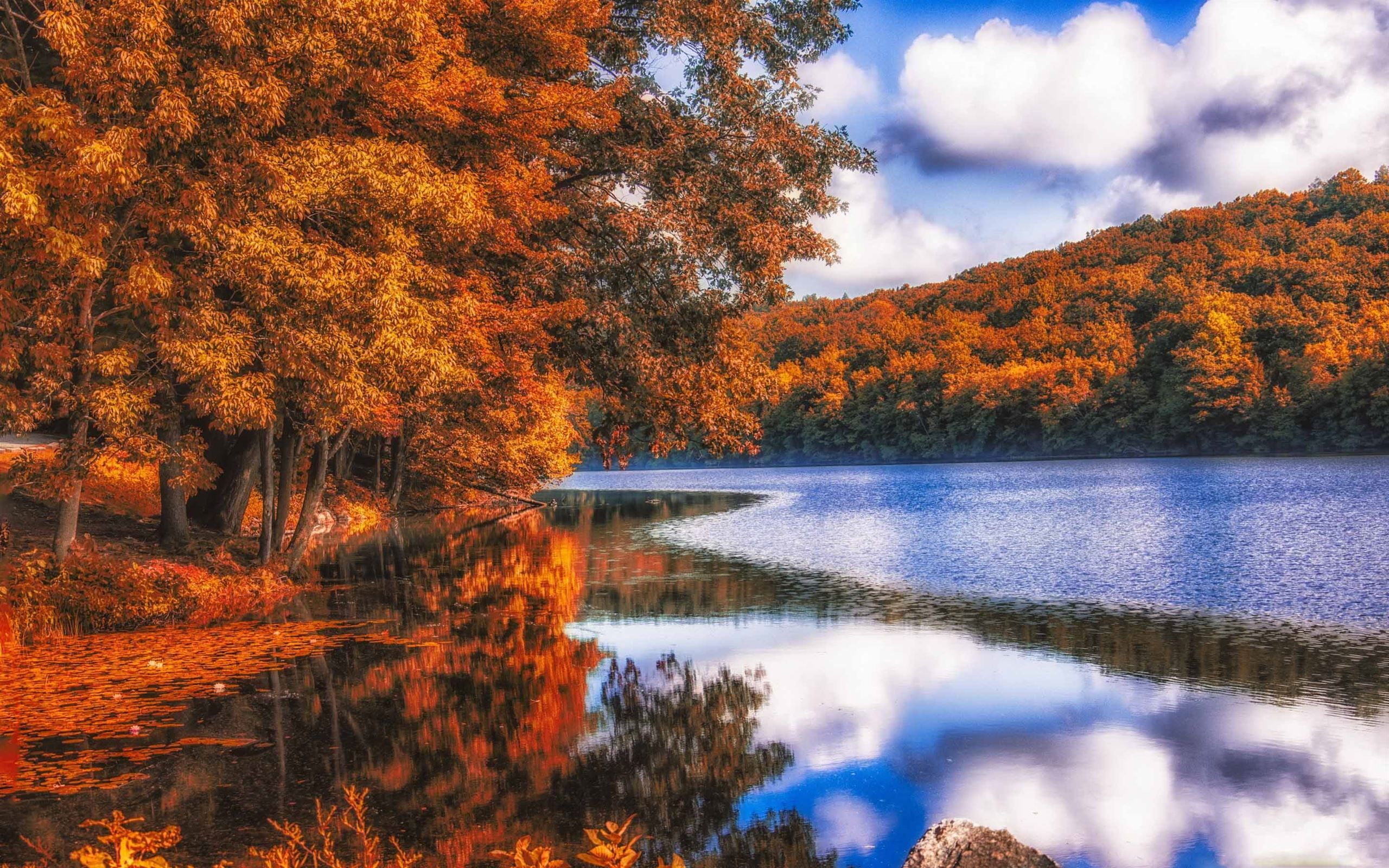 Lake Forest Autumn Mac Wallpaper Download