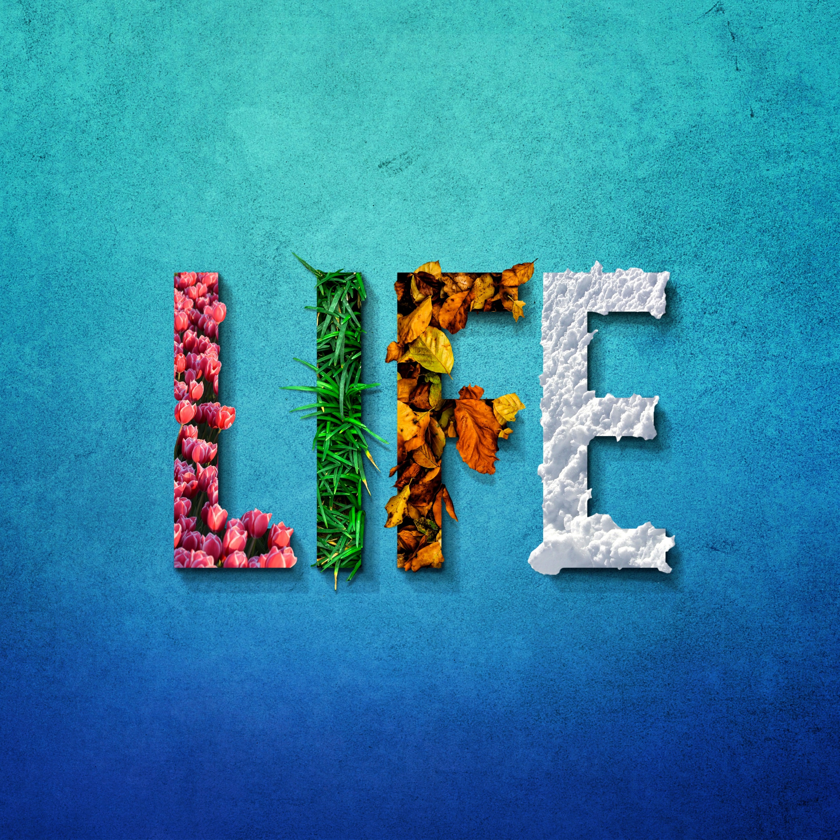 Summer Winter Fall And Spring Wallpapers - Wallpaper Cave