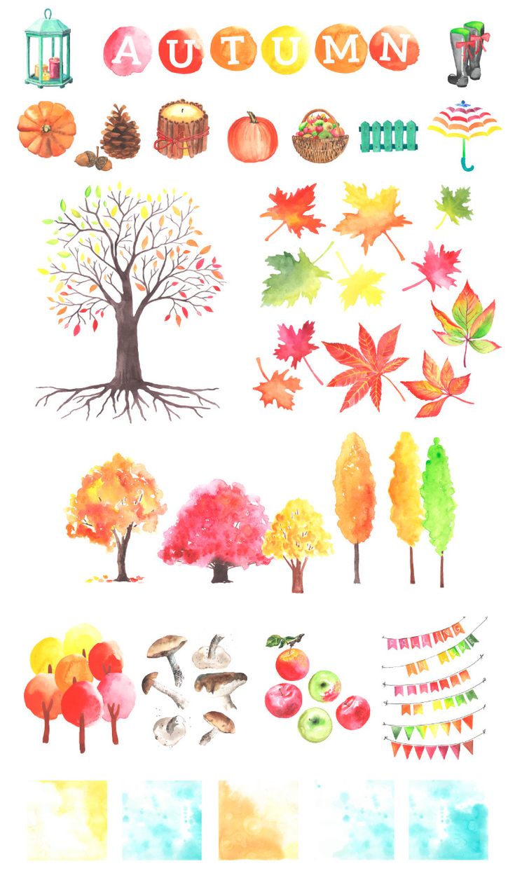 Big autumn set. Watercolor. Autumn illustration, Autumn painting, Watercolor autumn leaves