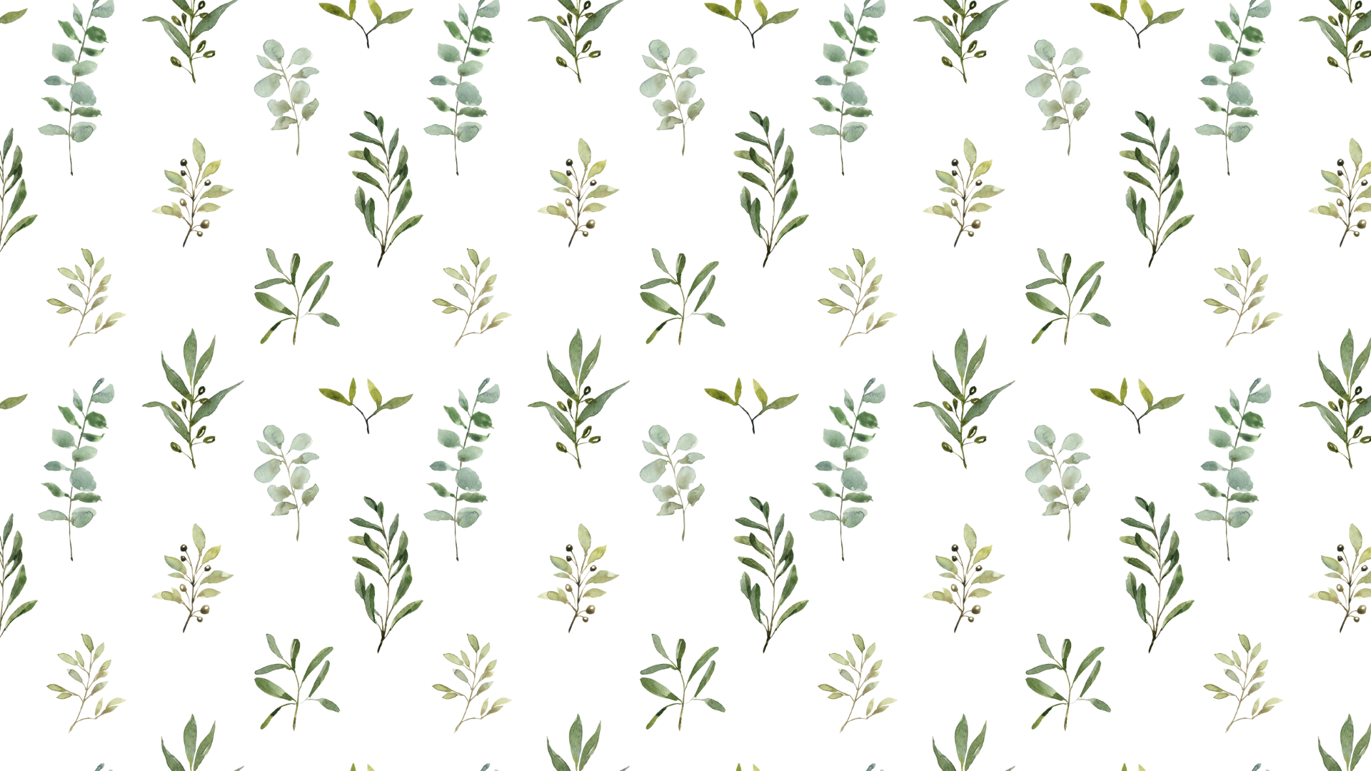 Sage Green Aesthetic Wallpaper Background (FREE)