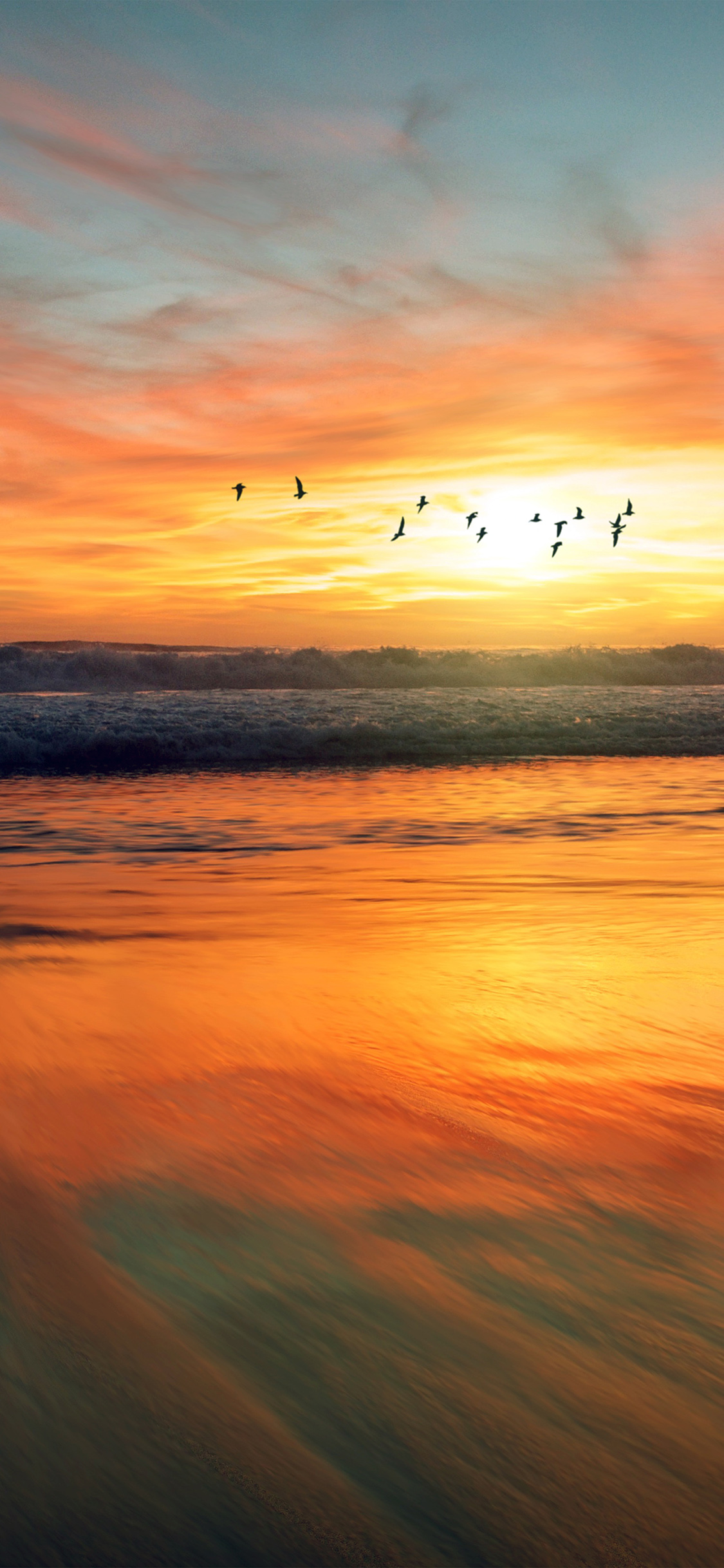 iPhone X wallpaper. sunset sea nature orange summer sky bird animal