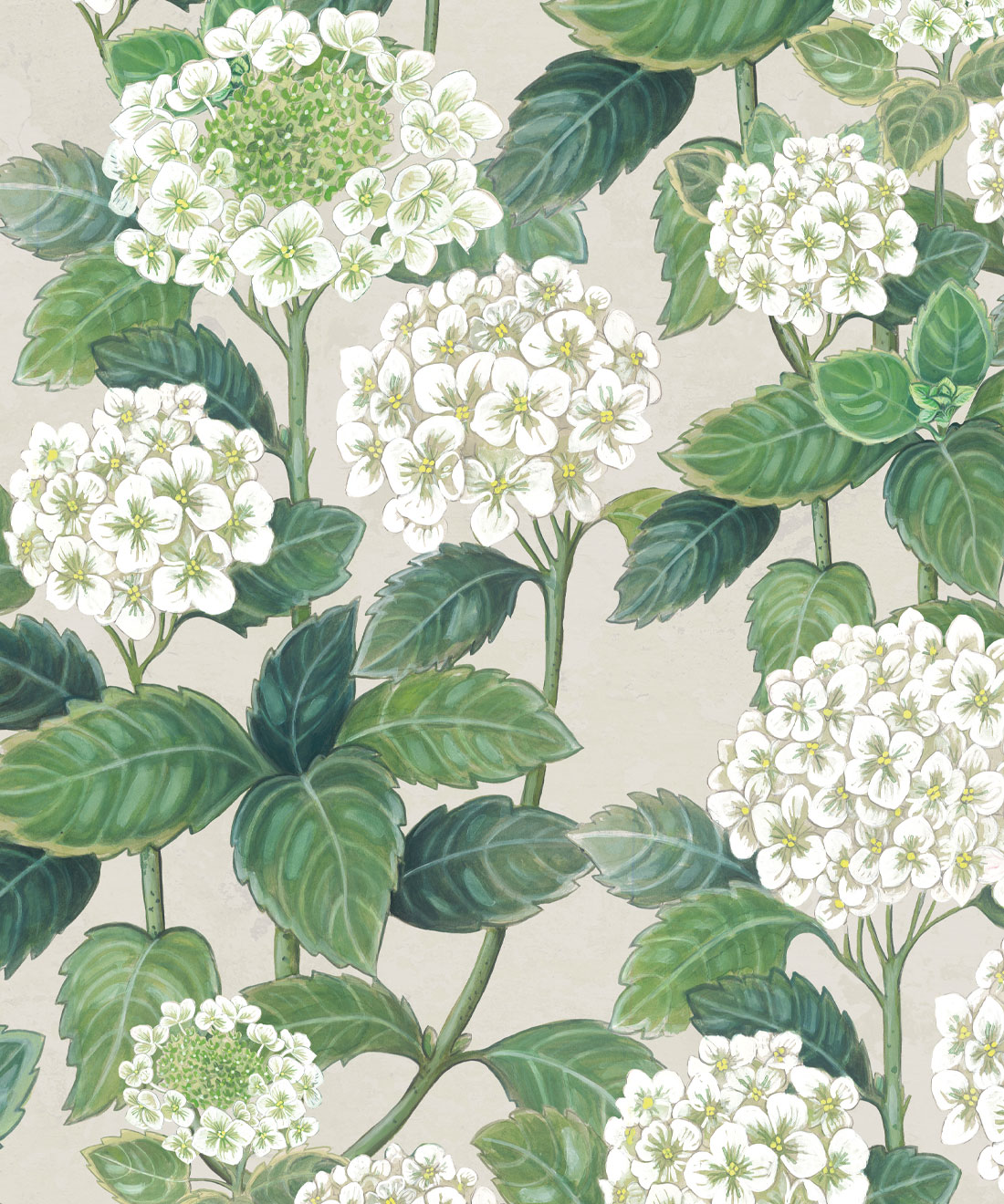 Hydrangea Garden Wallpaper • Gorgeous Florals