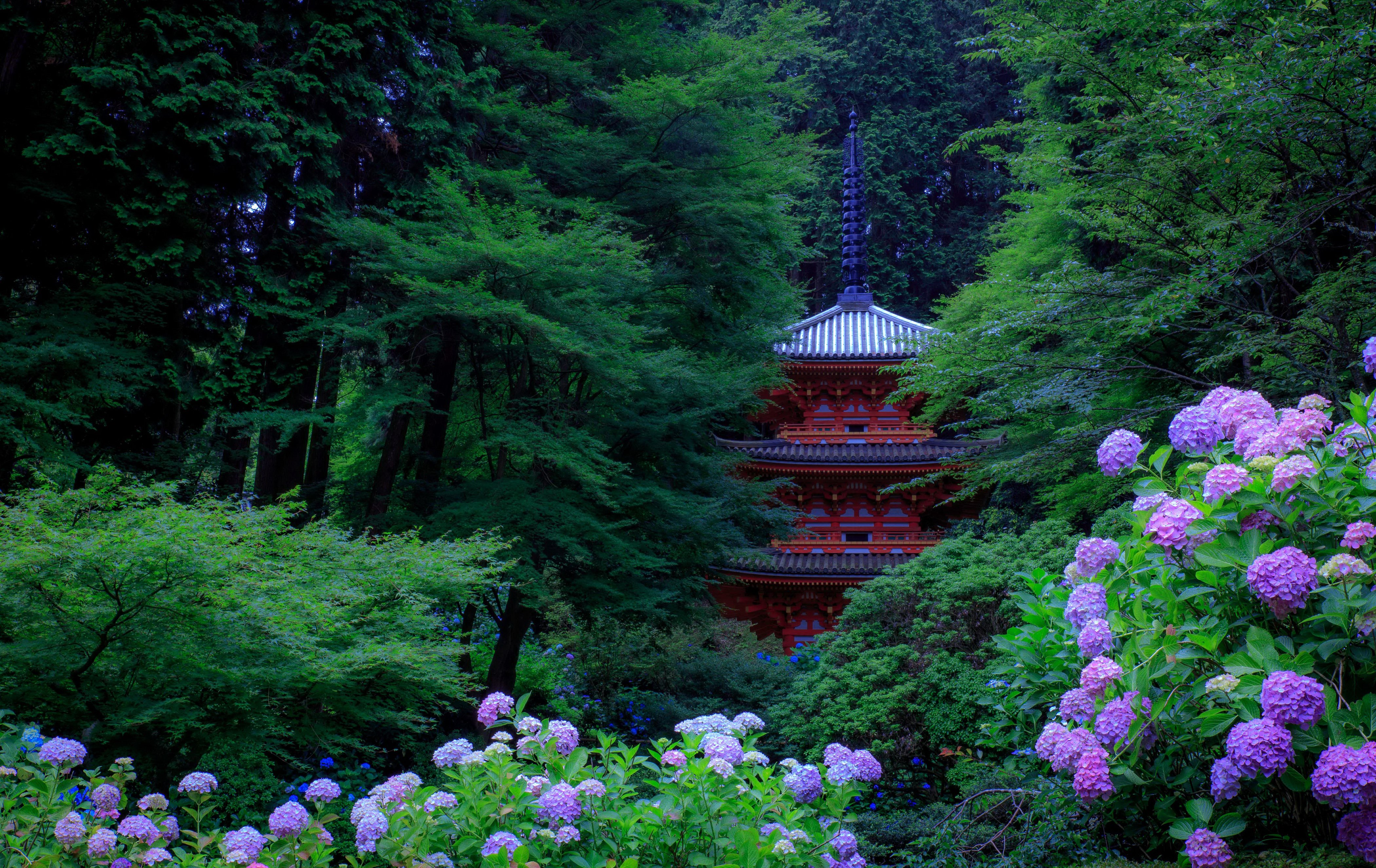 Japan Gardens Hydrangea Pagodas Trees Kyoto Nature wallpaper wallpaperx2650