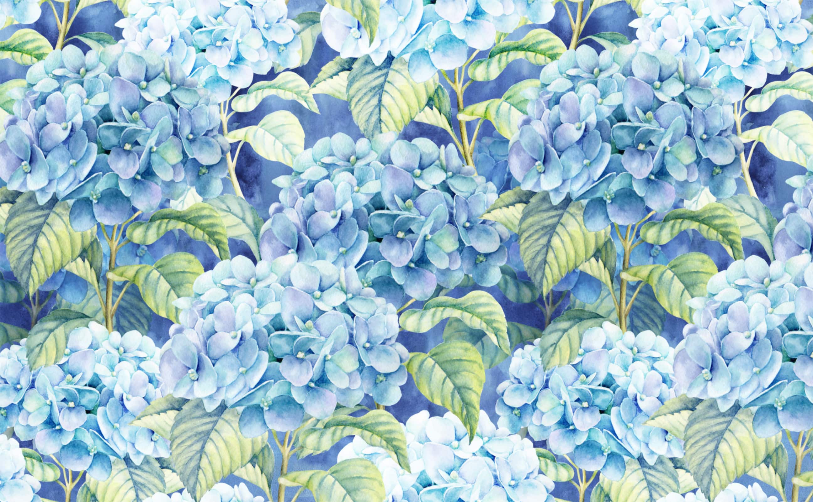 Hydrangea Garden Wallpapers - Wallpaper Cave