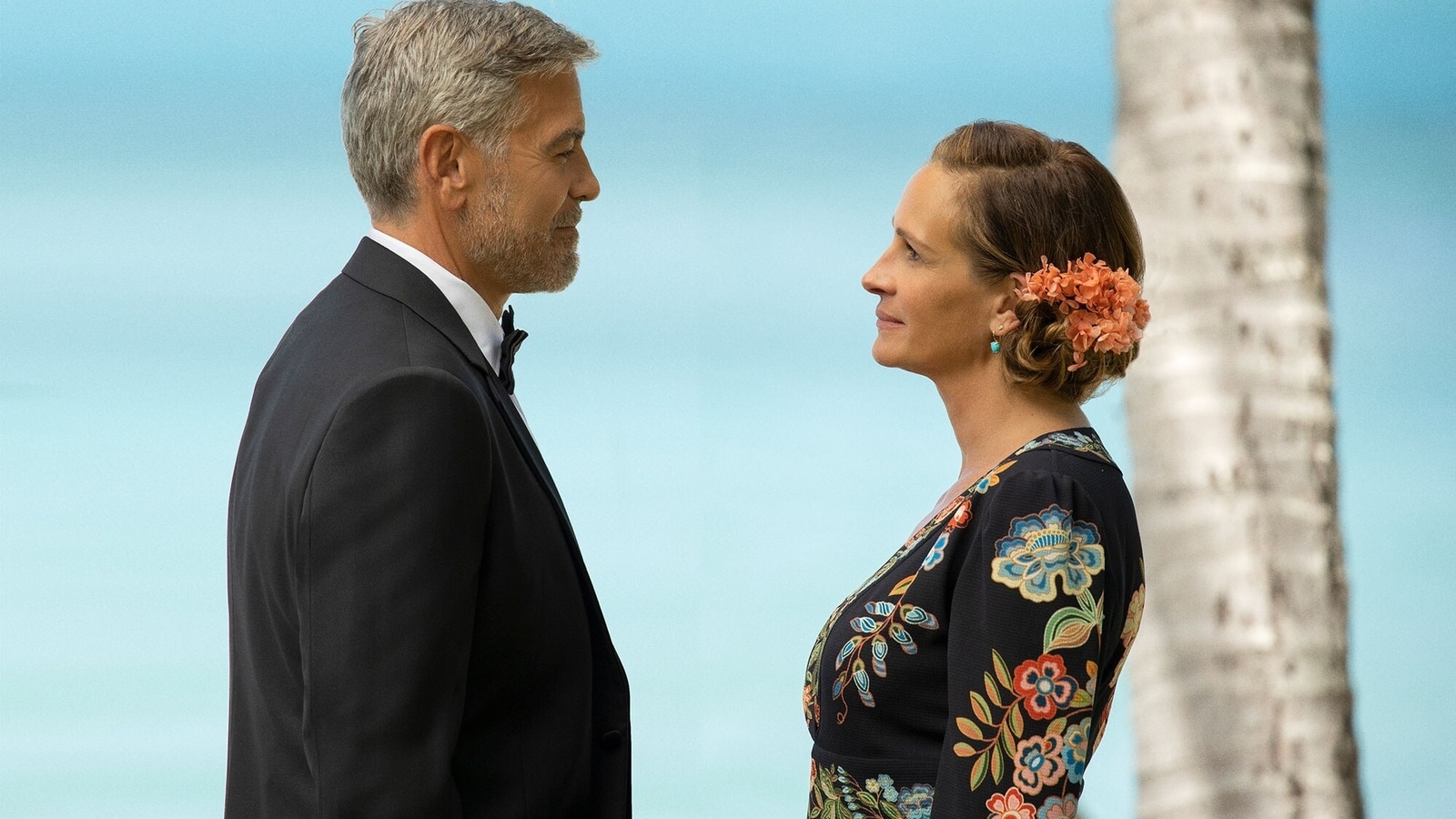 Ticket To Paradise review: George Clooney, Julia Roberts in an unoriginal romcom