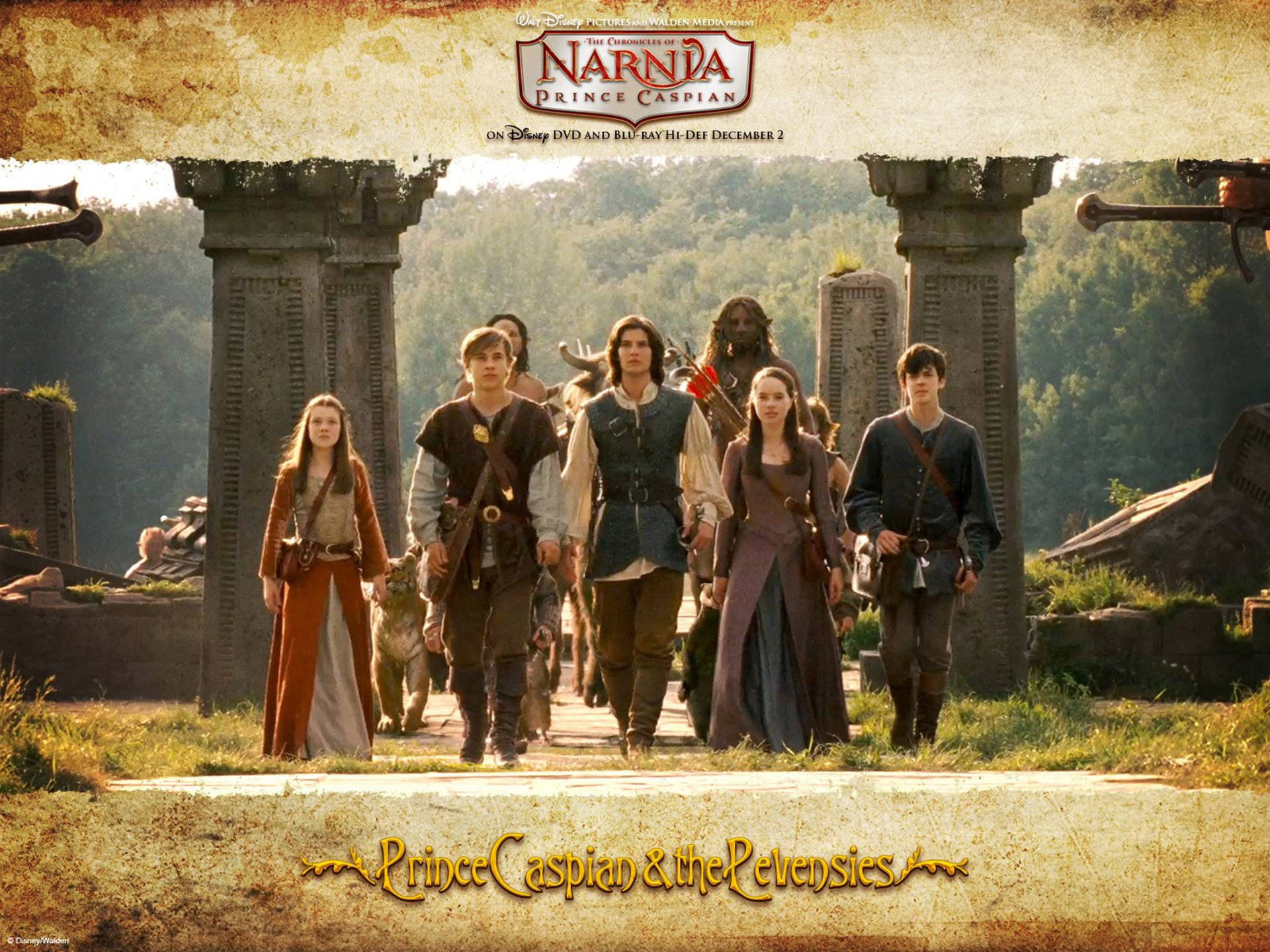 Download The Chronicles Of Narnia Protagonist Characters Wallpaper
