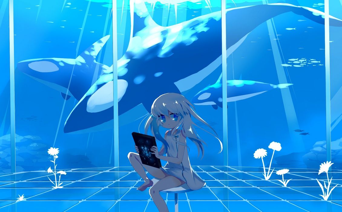 Water nature orca killer whales anime girls wallpaperx1250