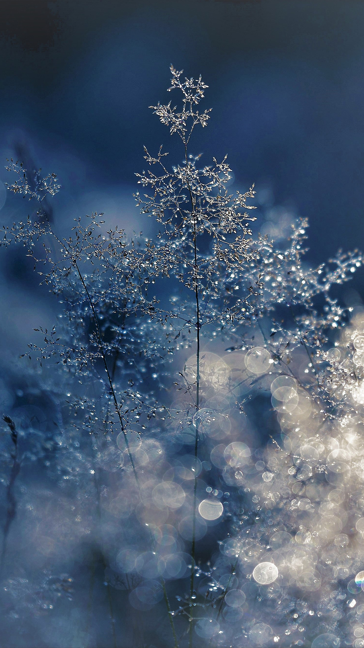 iPhone X wallpaper. snow bokeh light beautiful nature blue